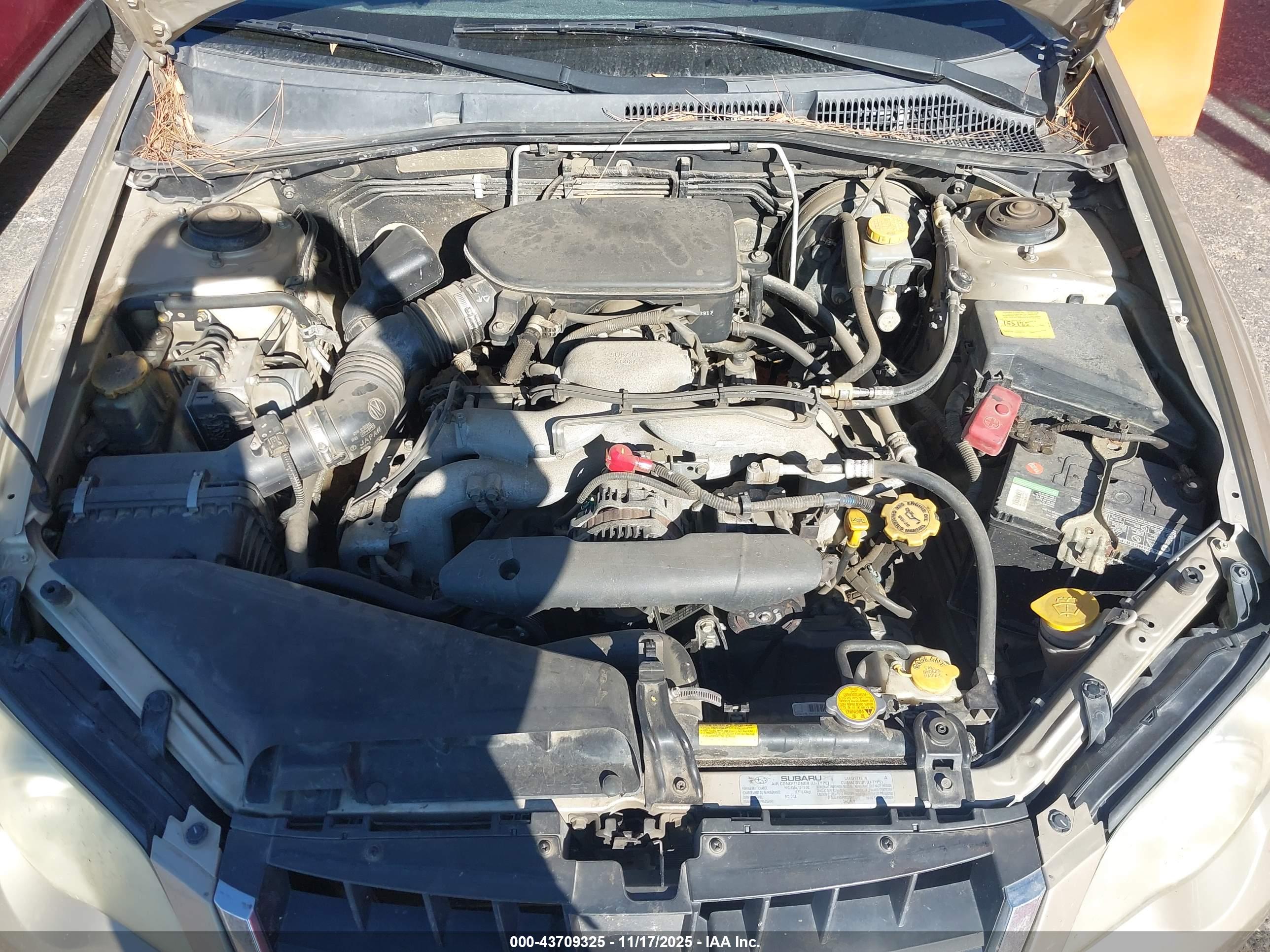 SUBARU OUTBACK image 10