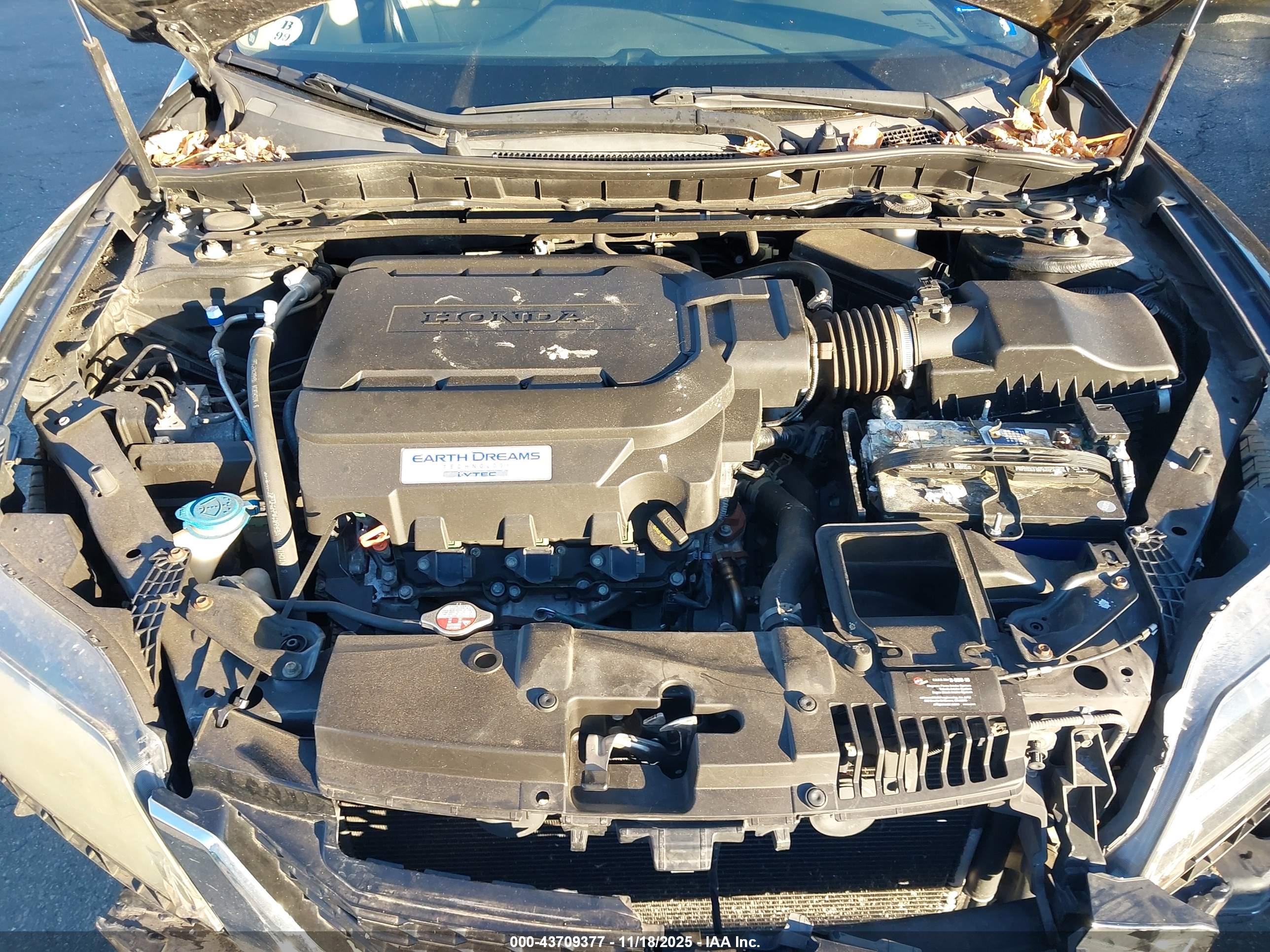 HONDA ACCORD image 10