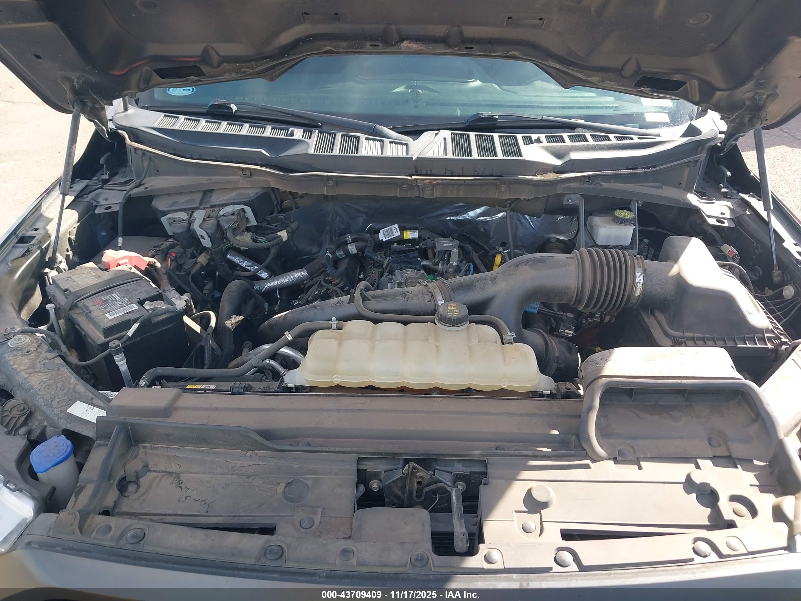 FORD F-150 image 10