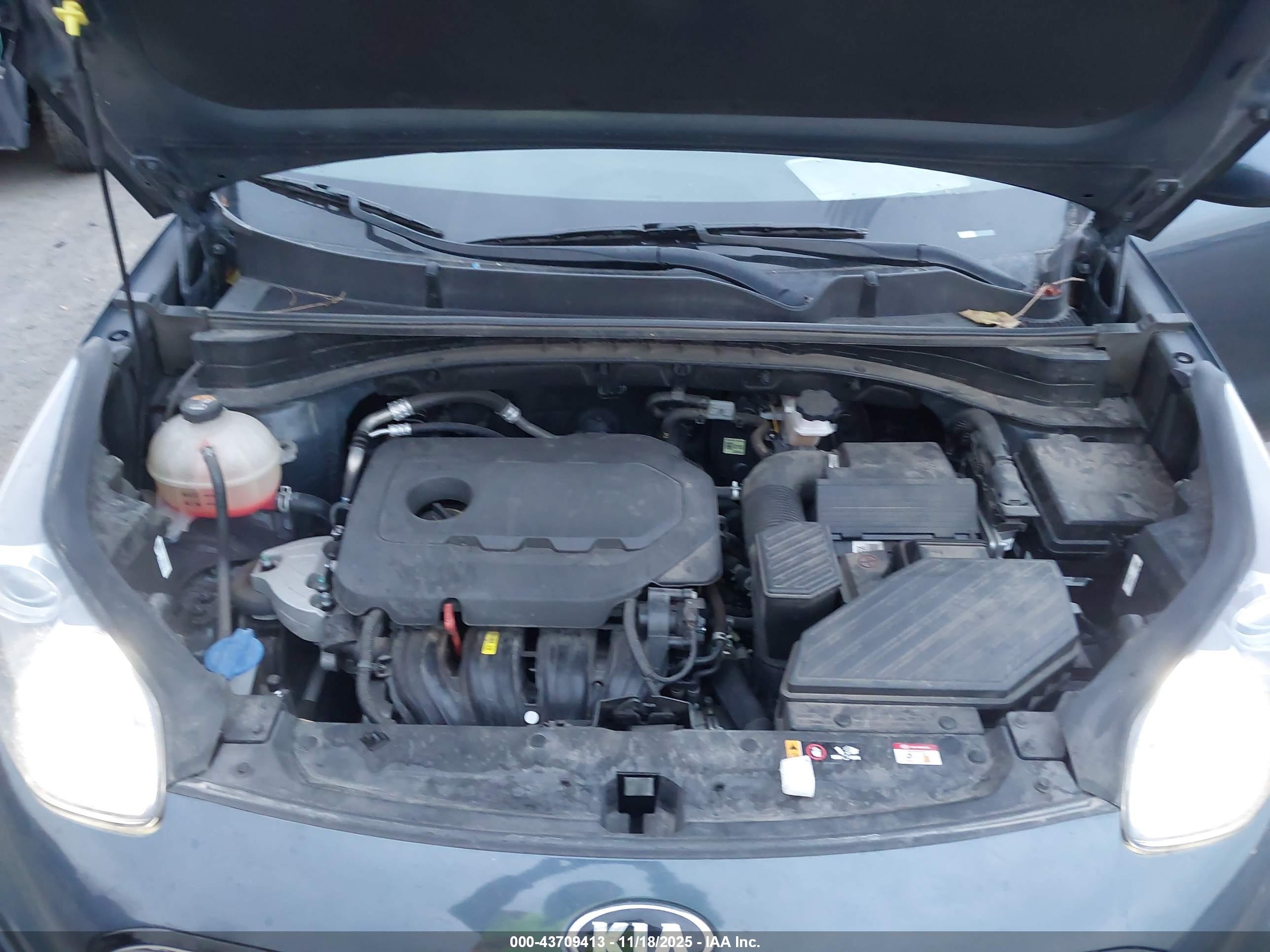 KIA SPORTAGE image 10