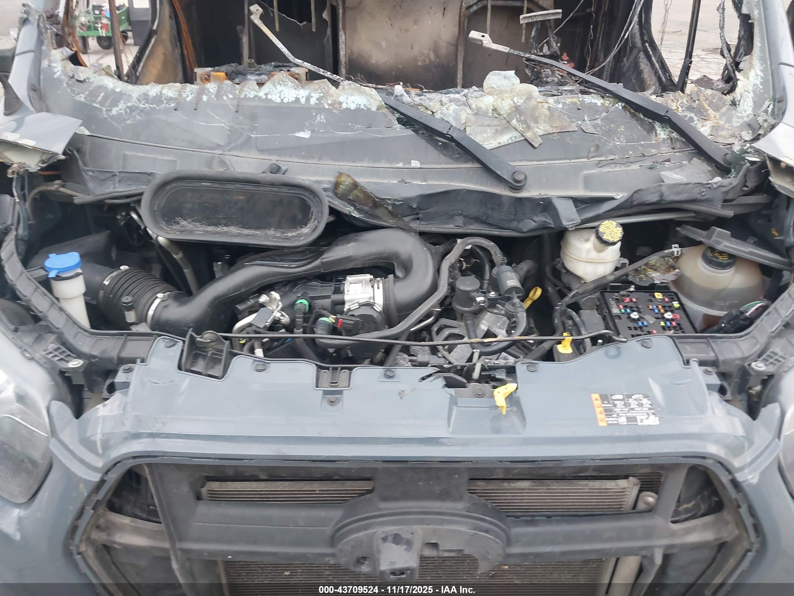 FORD TRANSIT-250 image 10
