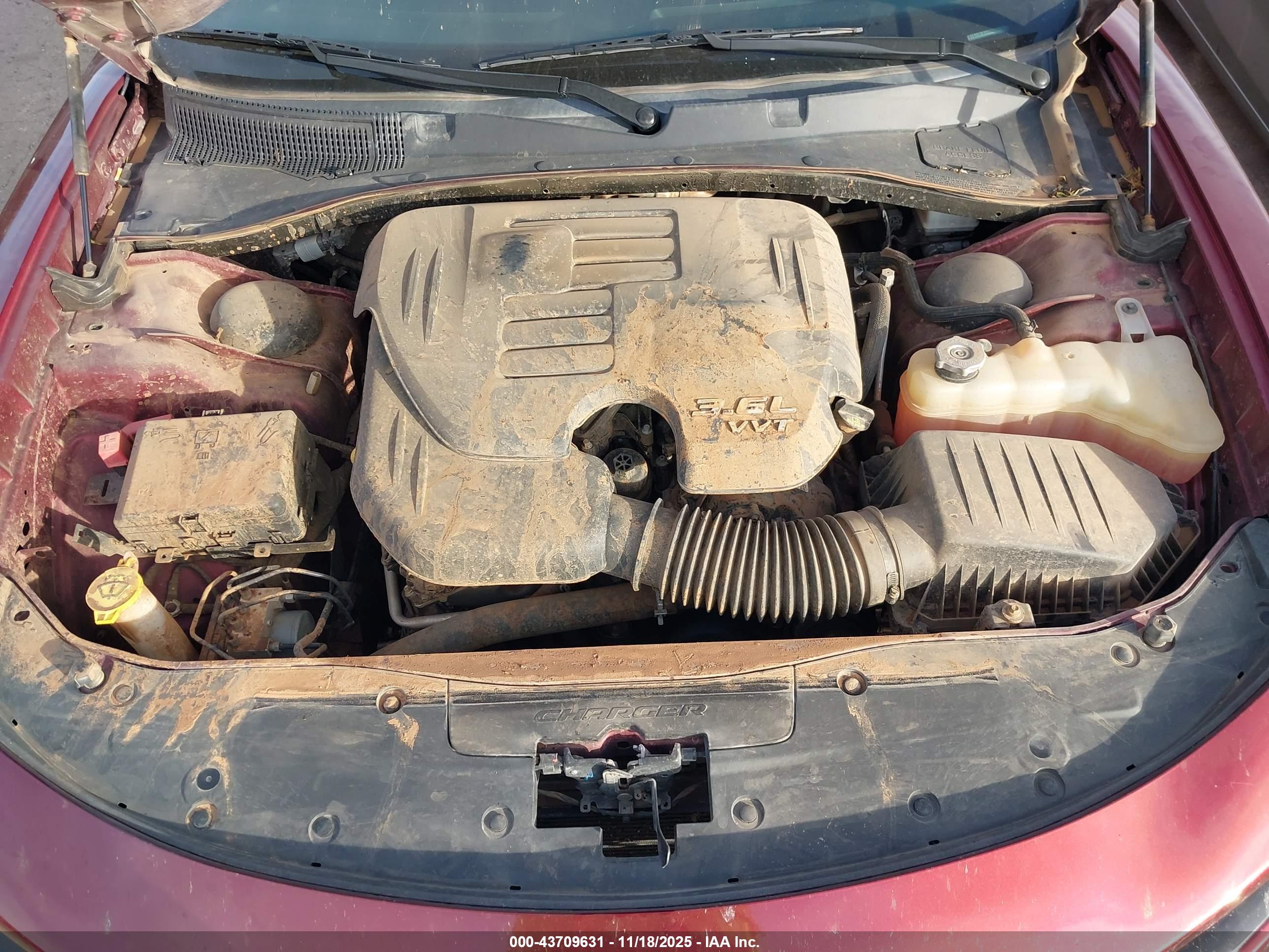 DODGE CHARGER image 10