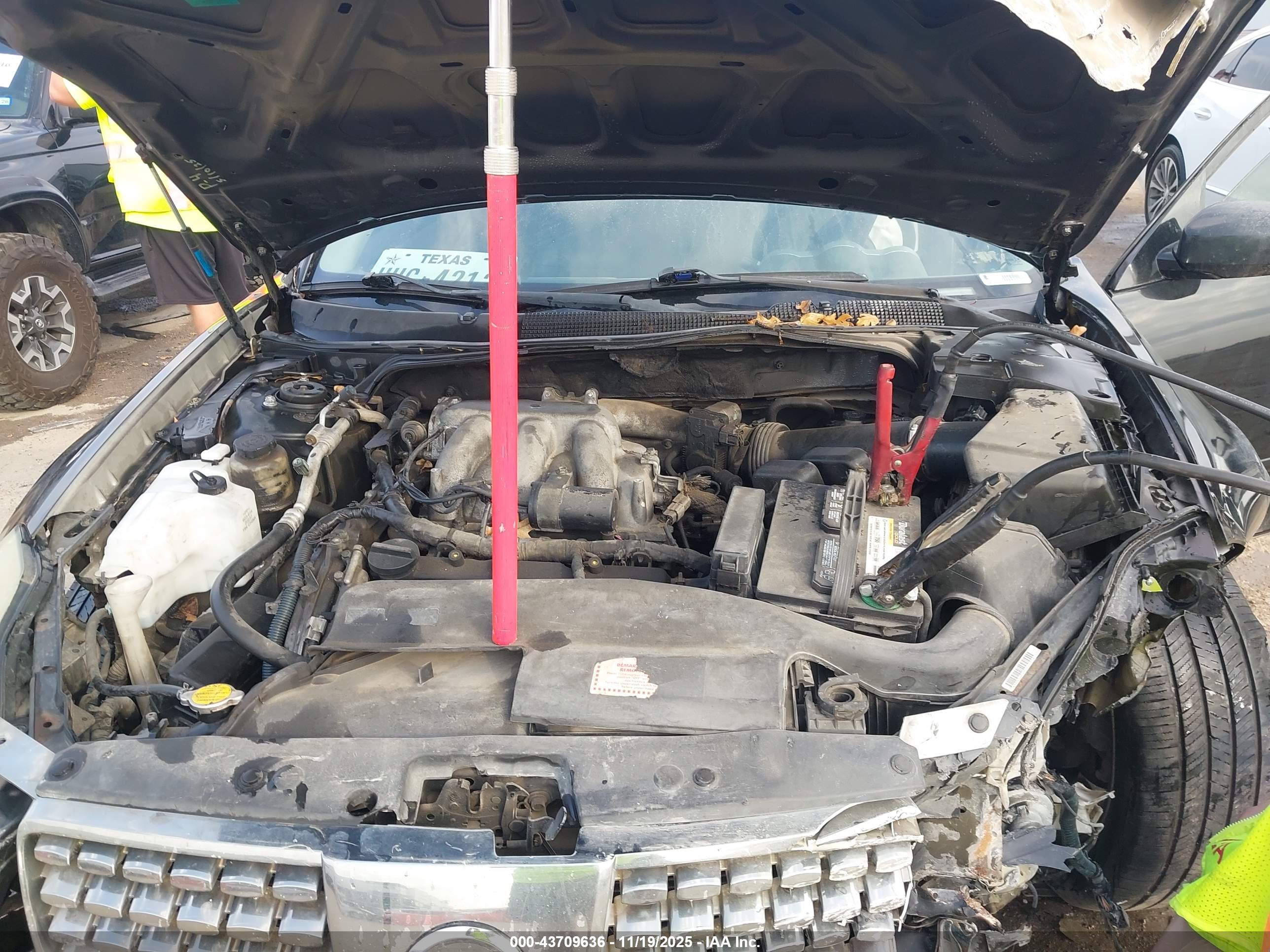NISSAN MAXIMA image 10
