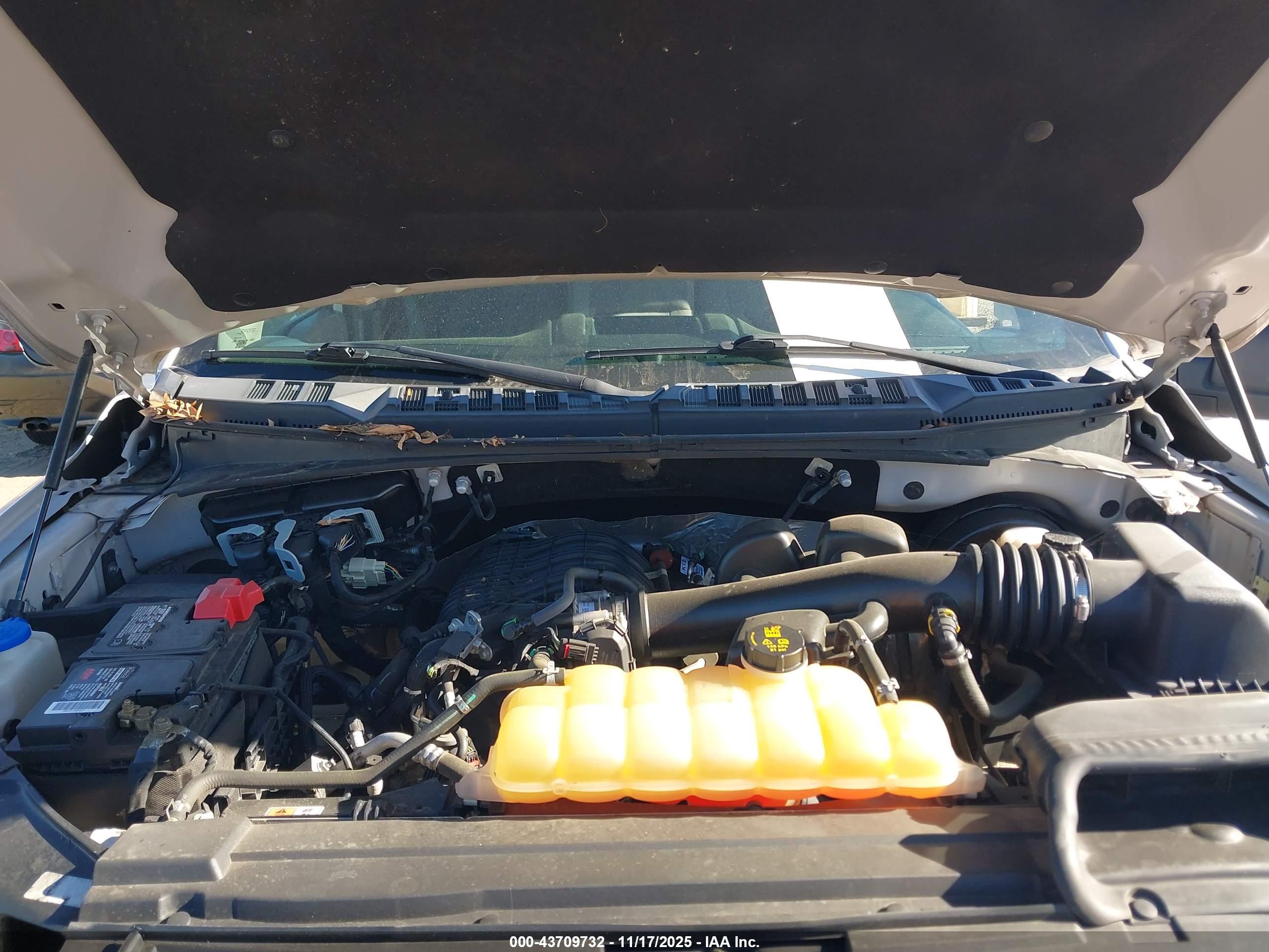 FORD F-150 image 10
