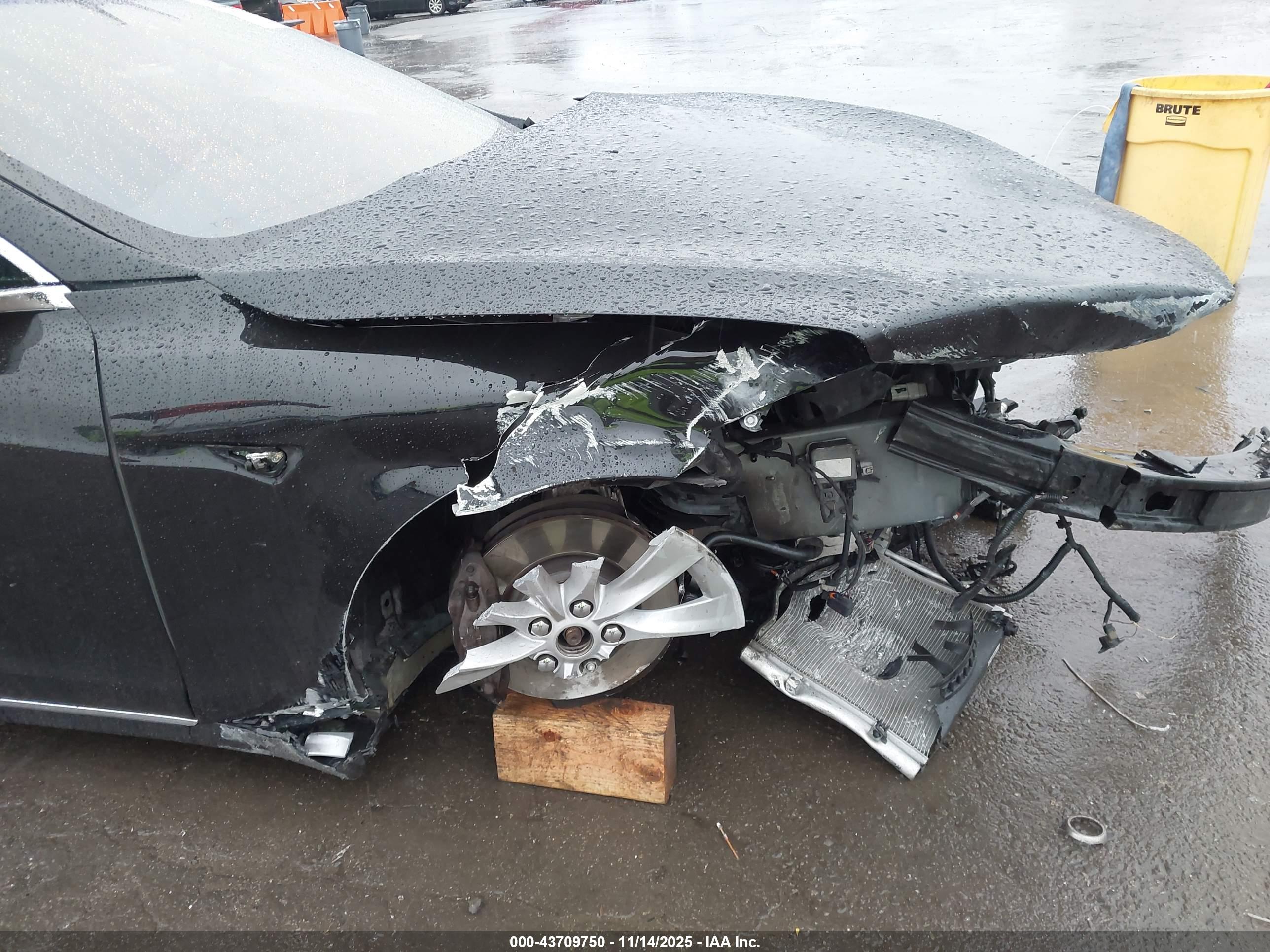 TESLA MODEL image 6