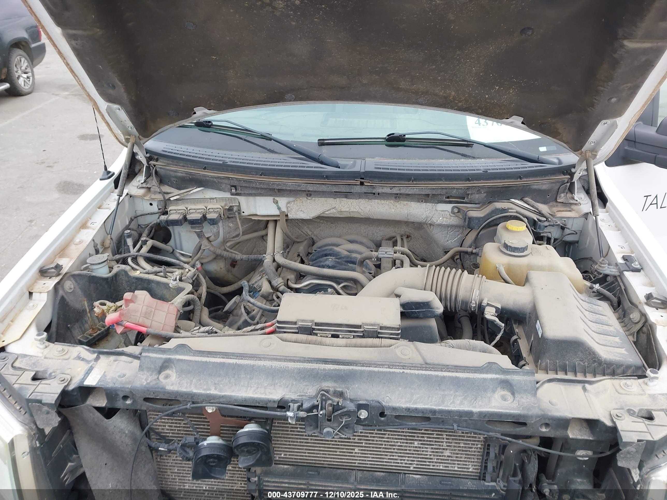 FORD F-150 image 10