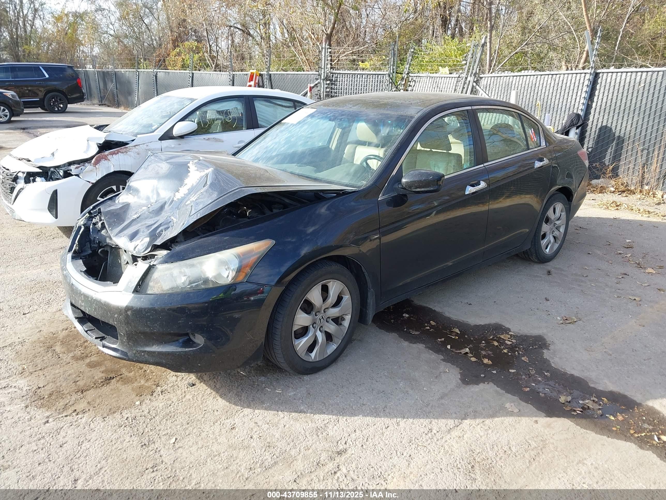 HONDA ACCORD image 2