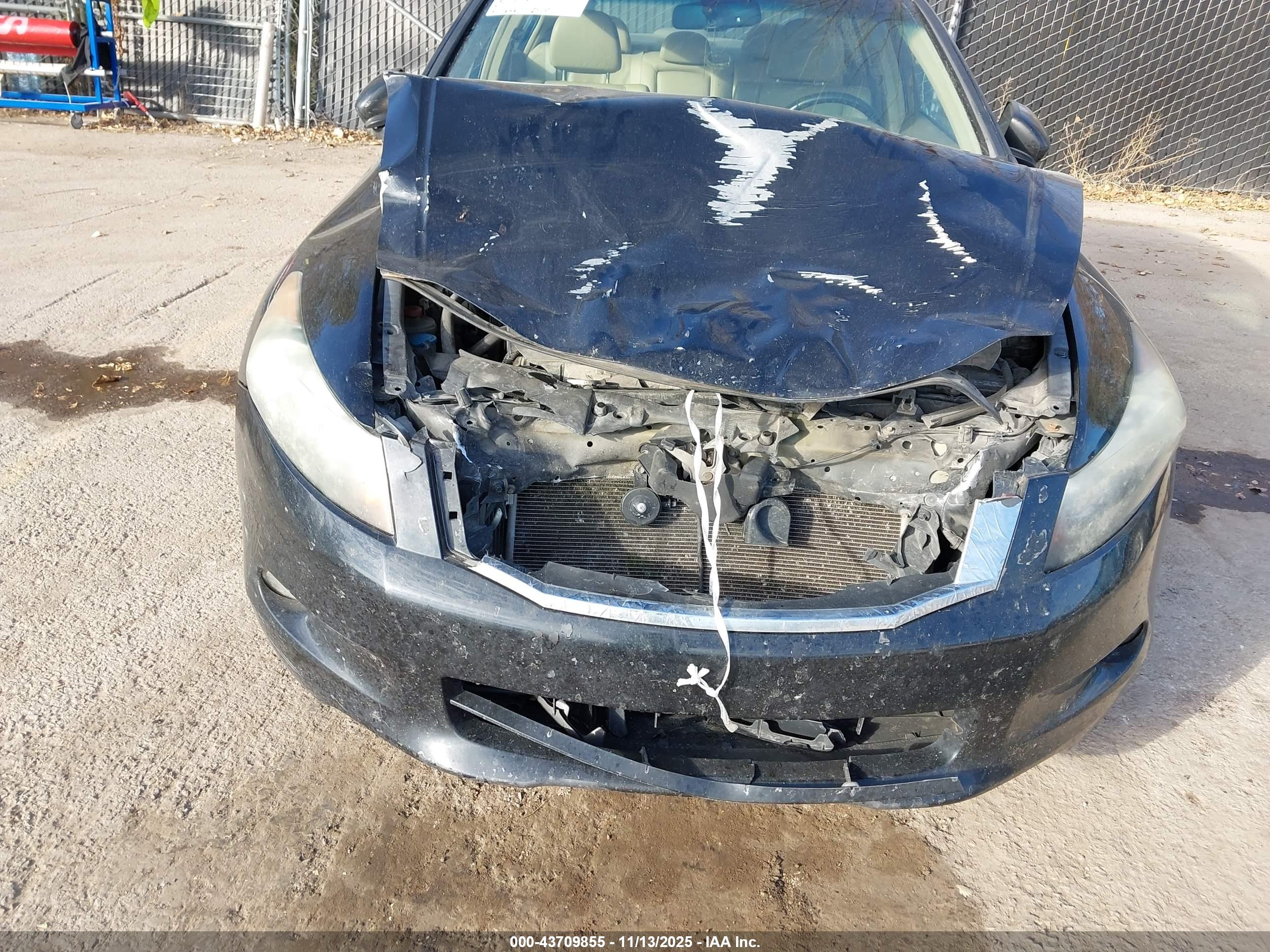 HONDA ACCORD image 6