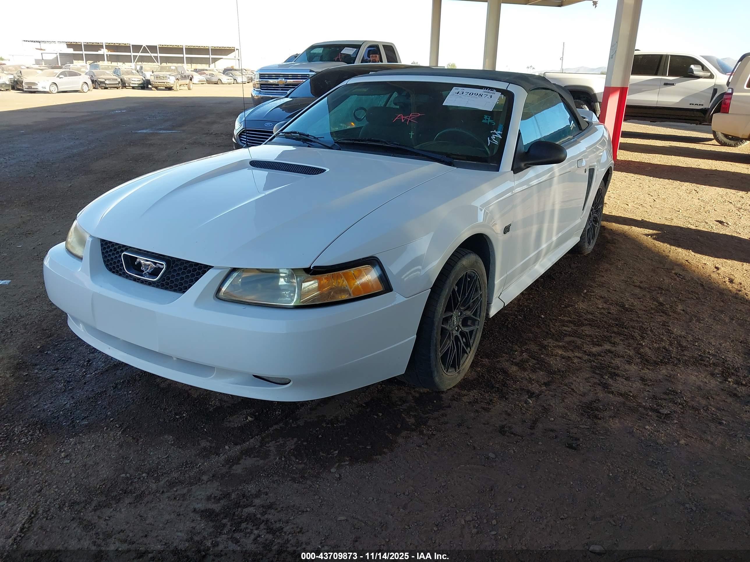 FORD MUSTANG image 2