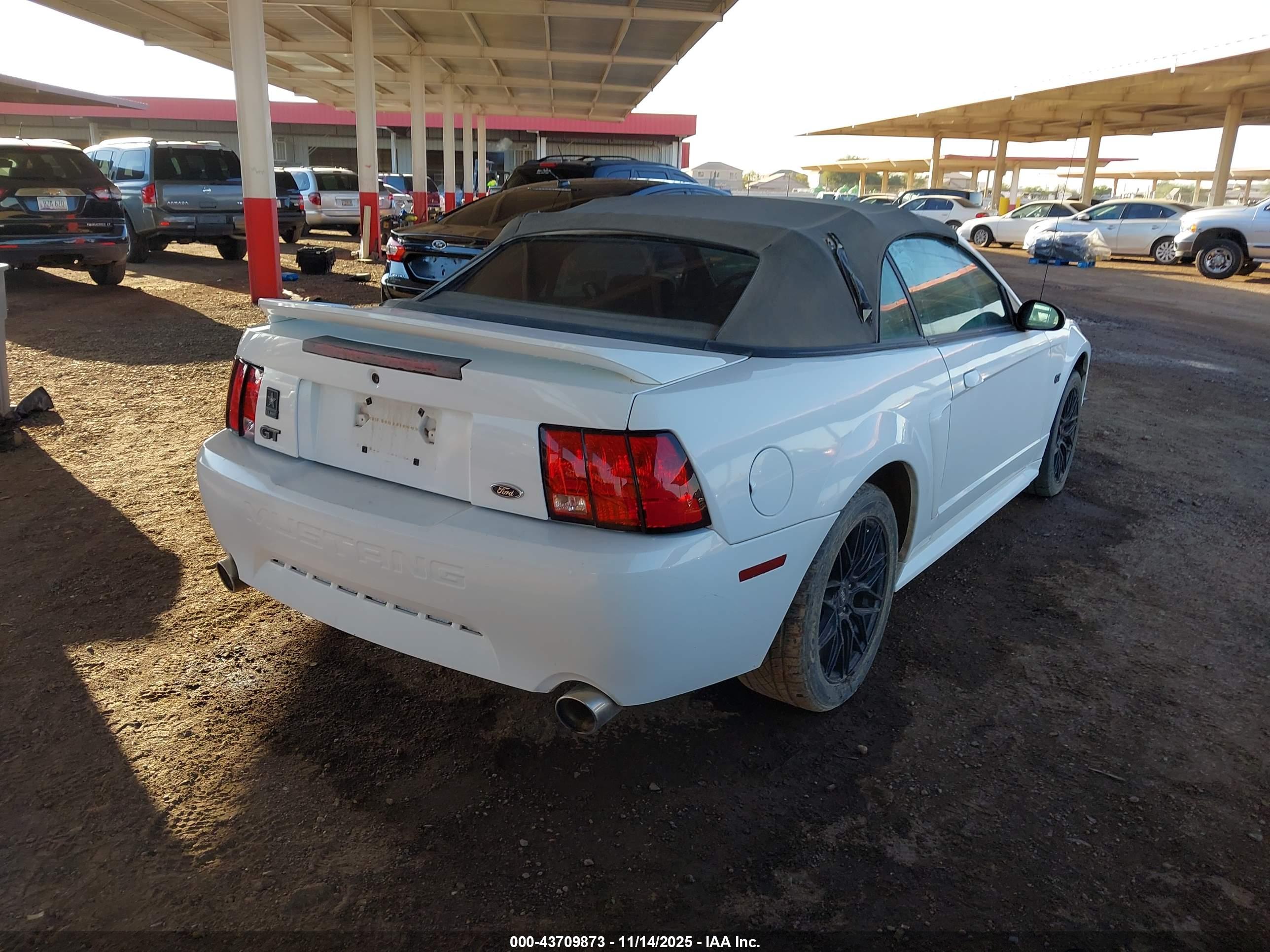 FORD MUSTANG image 4