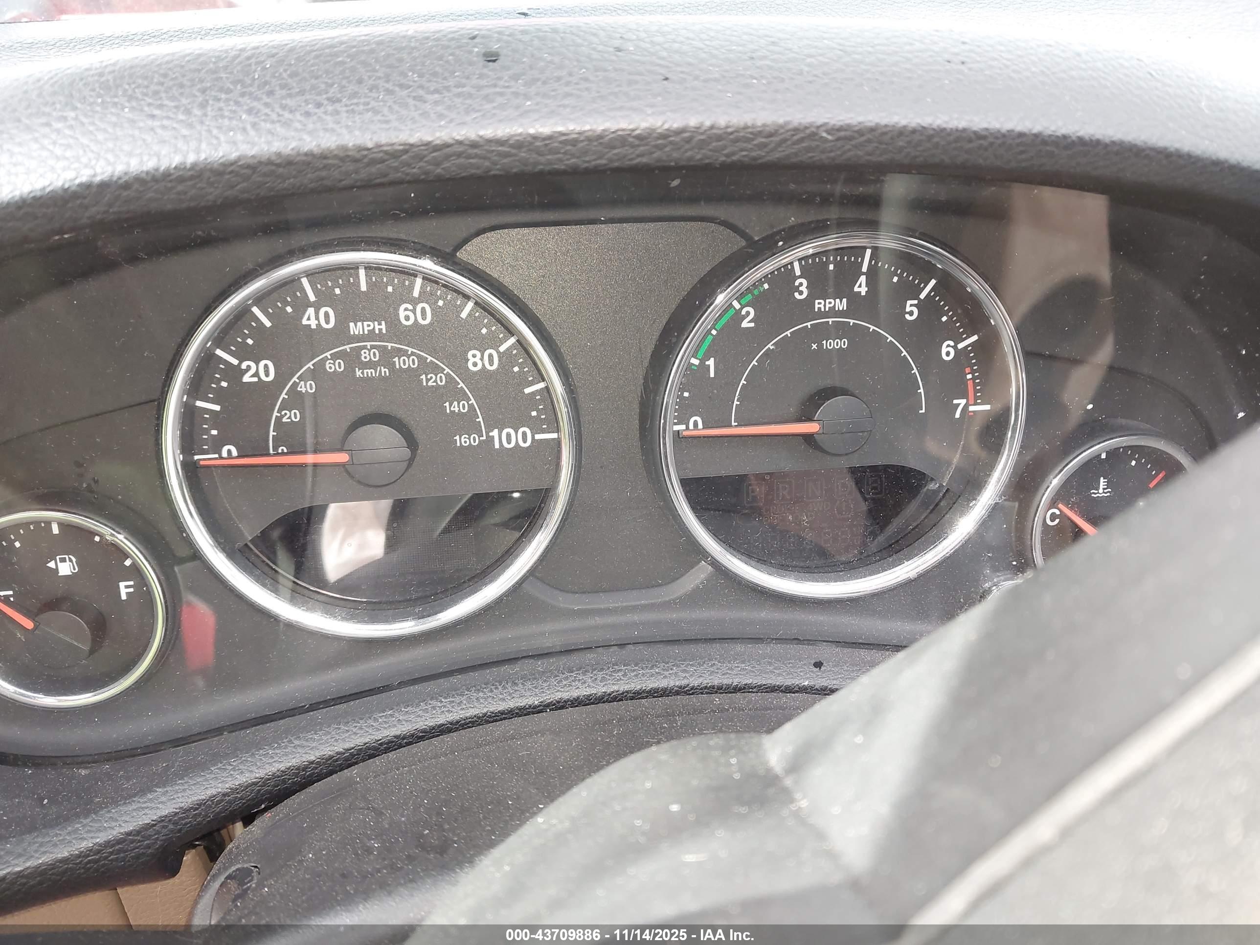JEEP WRANGLER image 7