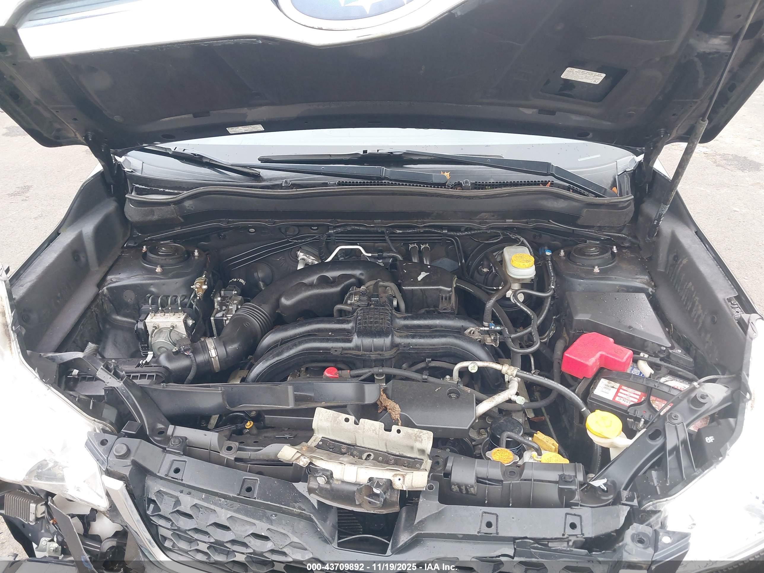 SUBARU FORESTER image 10