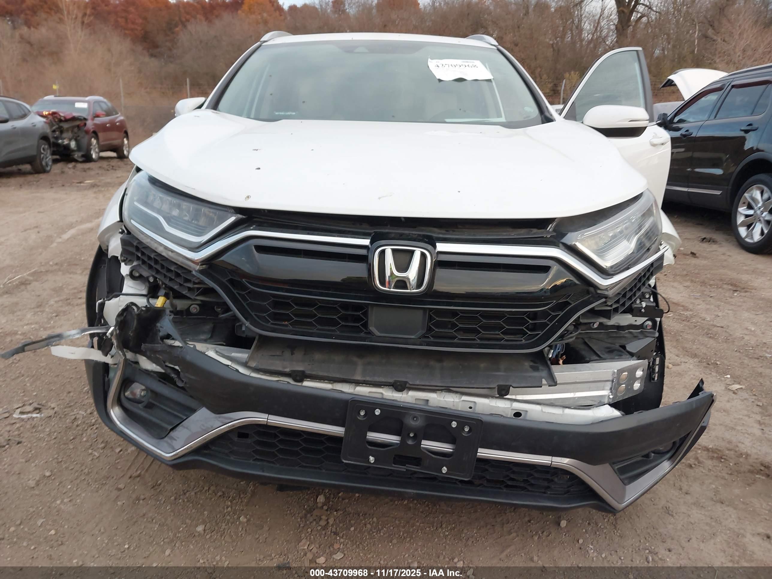 HONDA CR-V image 6