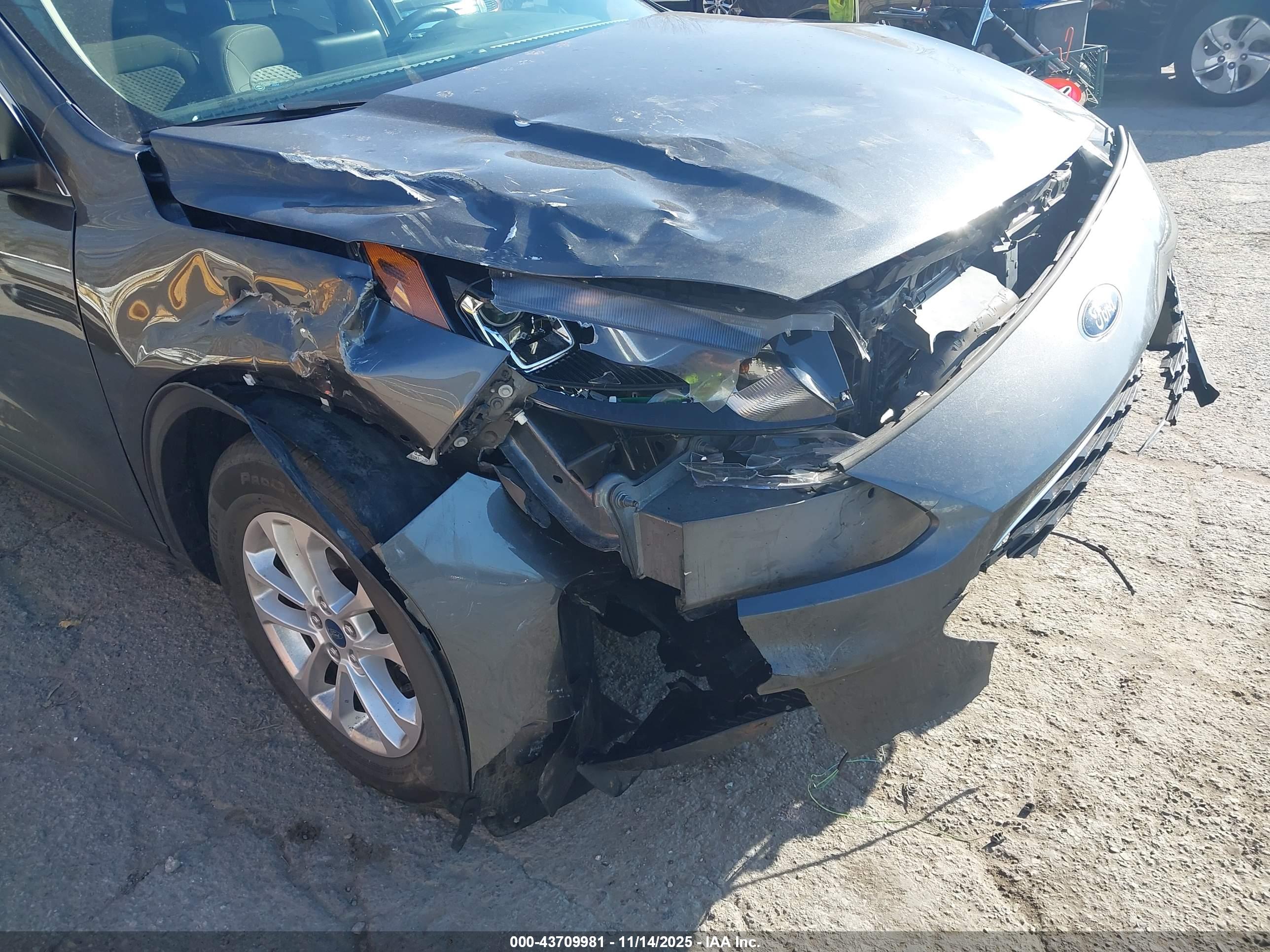 FORD ESCAPE image 6