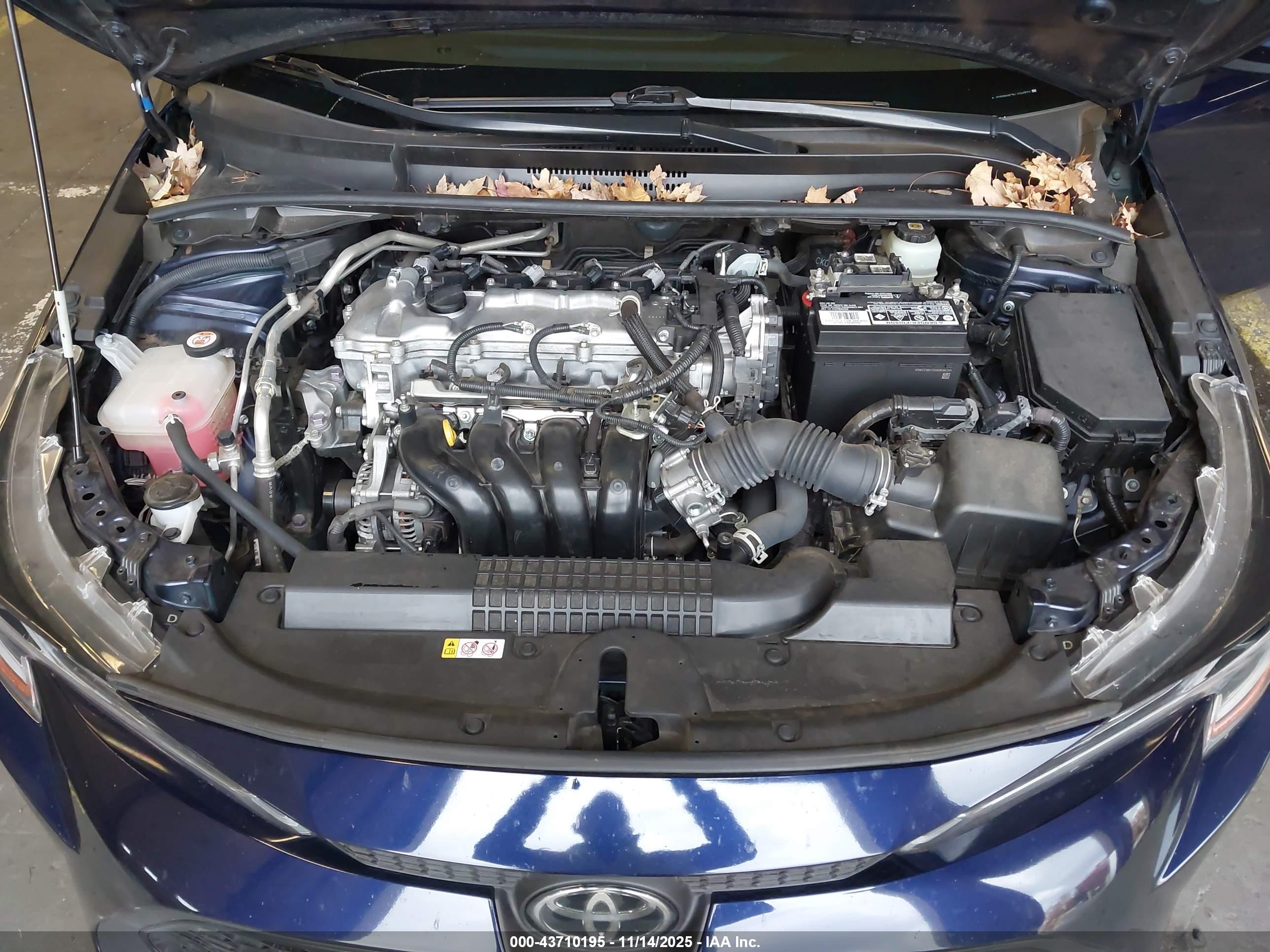 TOYOTA COROLLA image 10