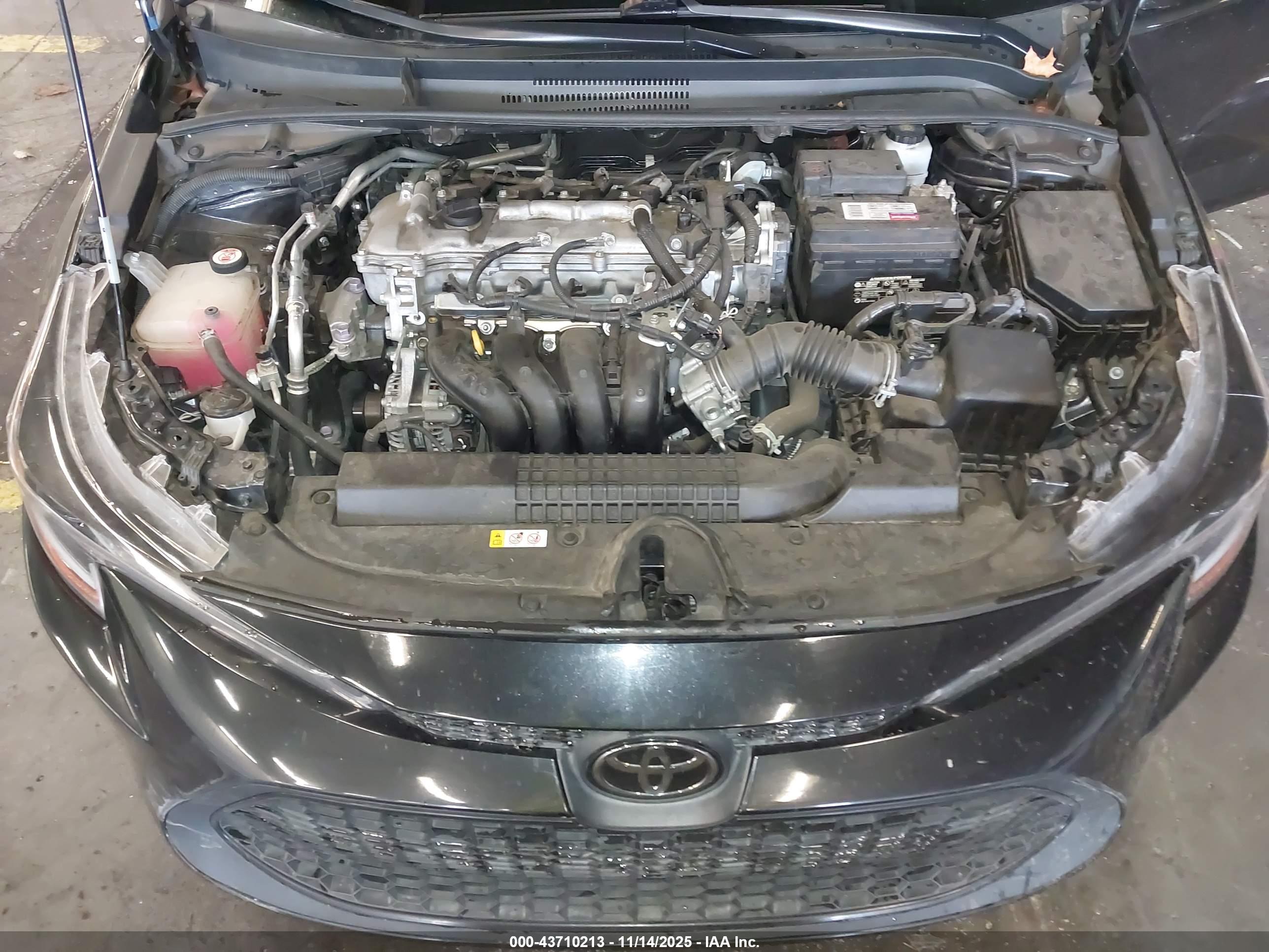 TOYOTA COROLLA image 10