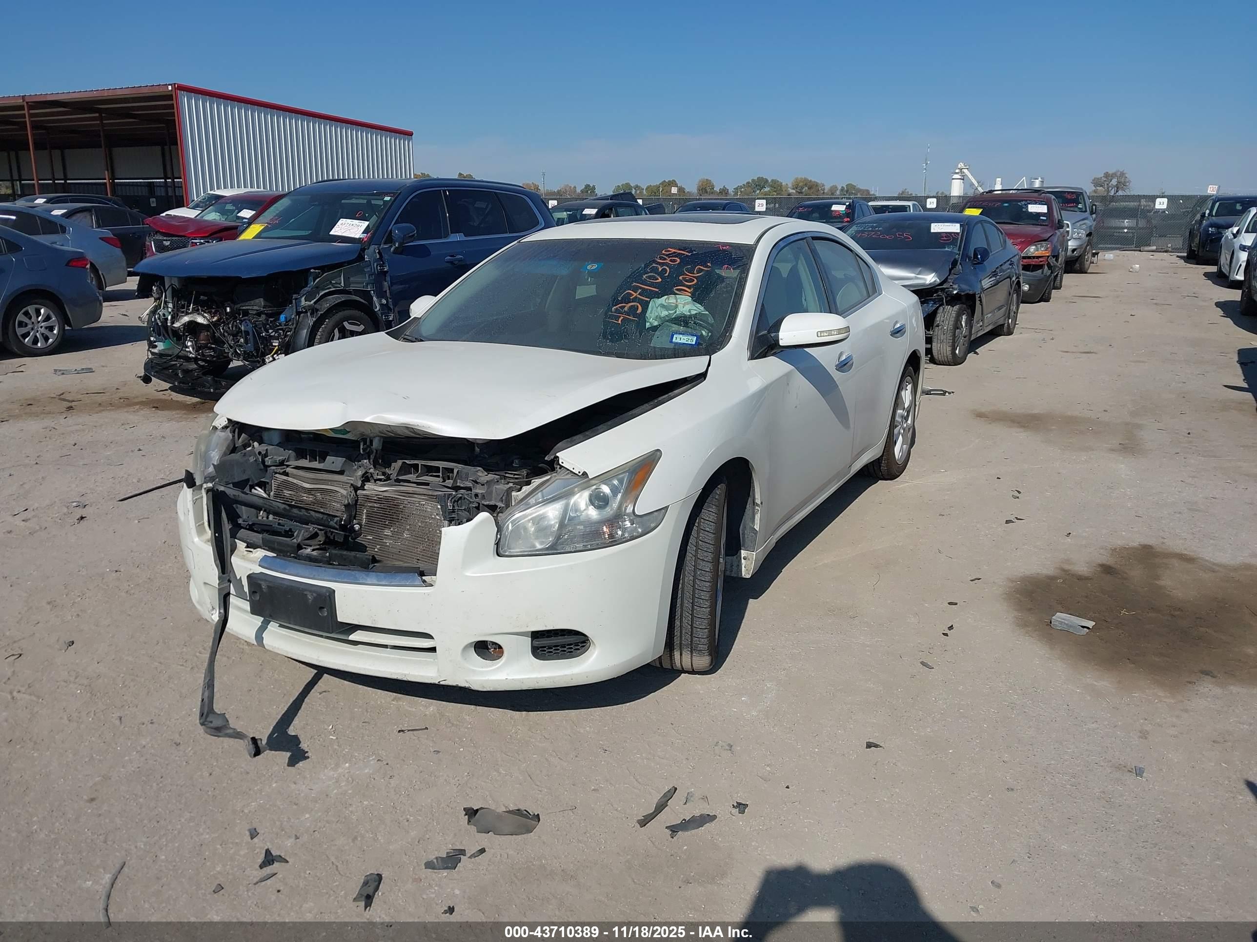 NISSAN MAXIMA image 2