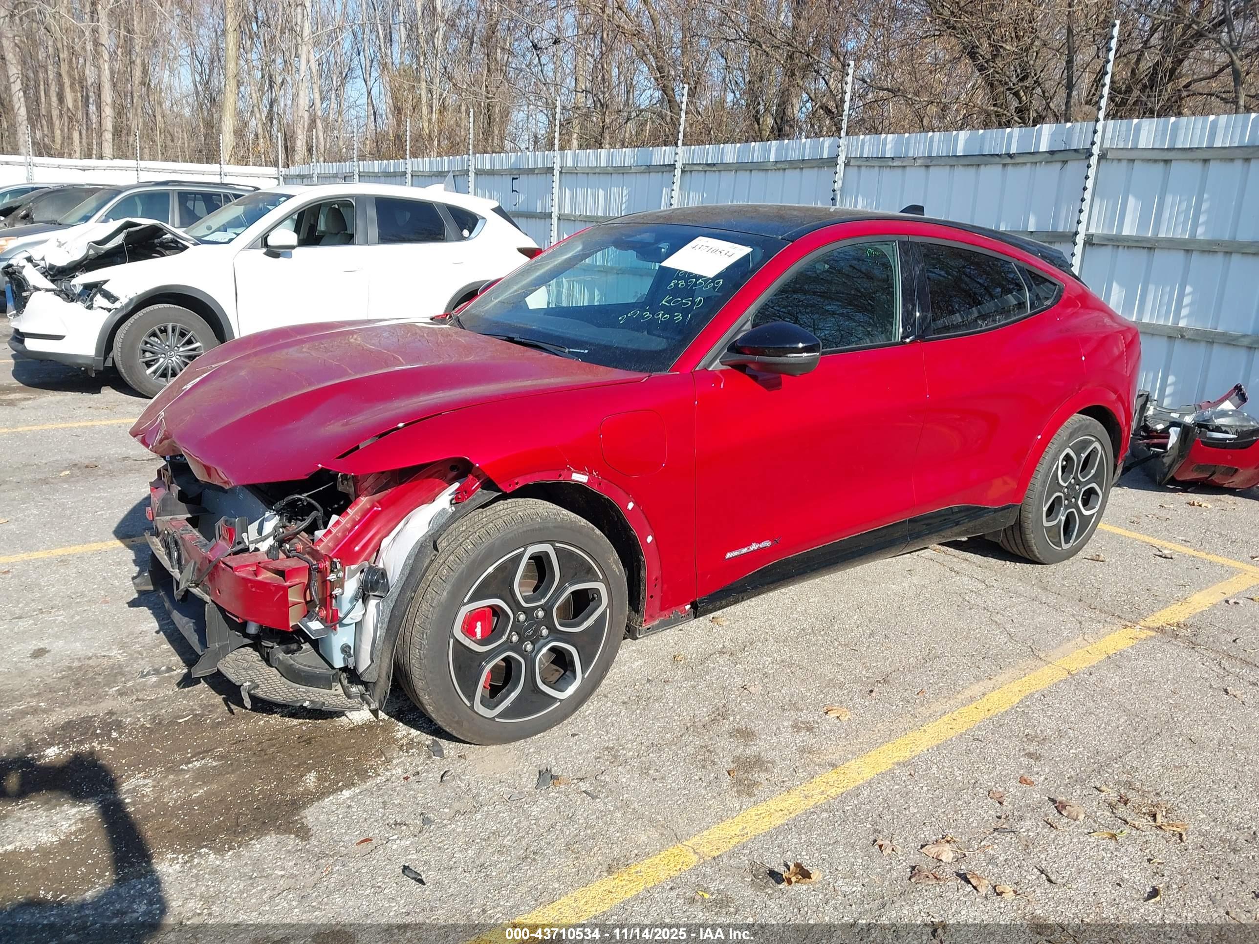FORD MUSTANG image 2