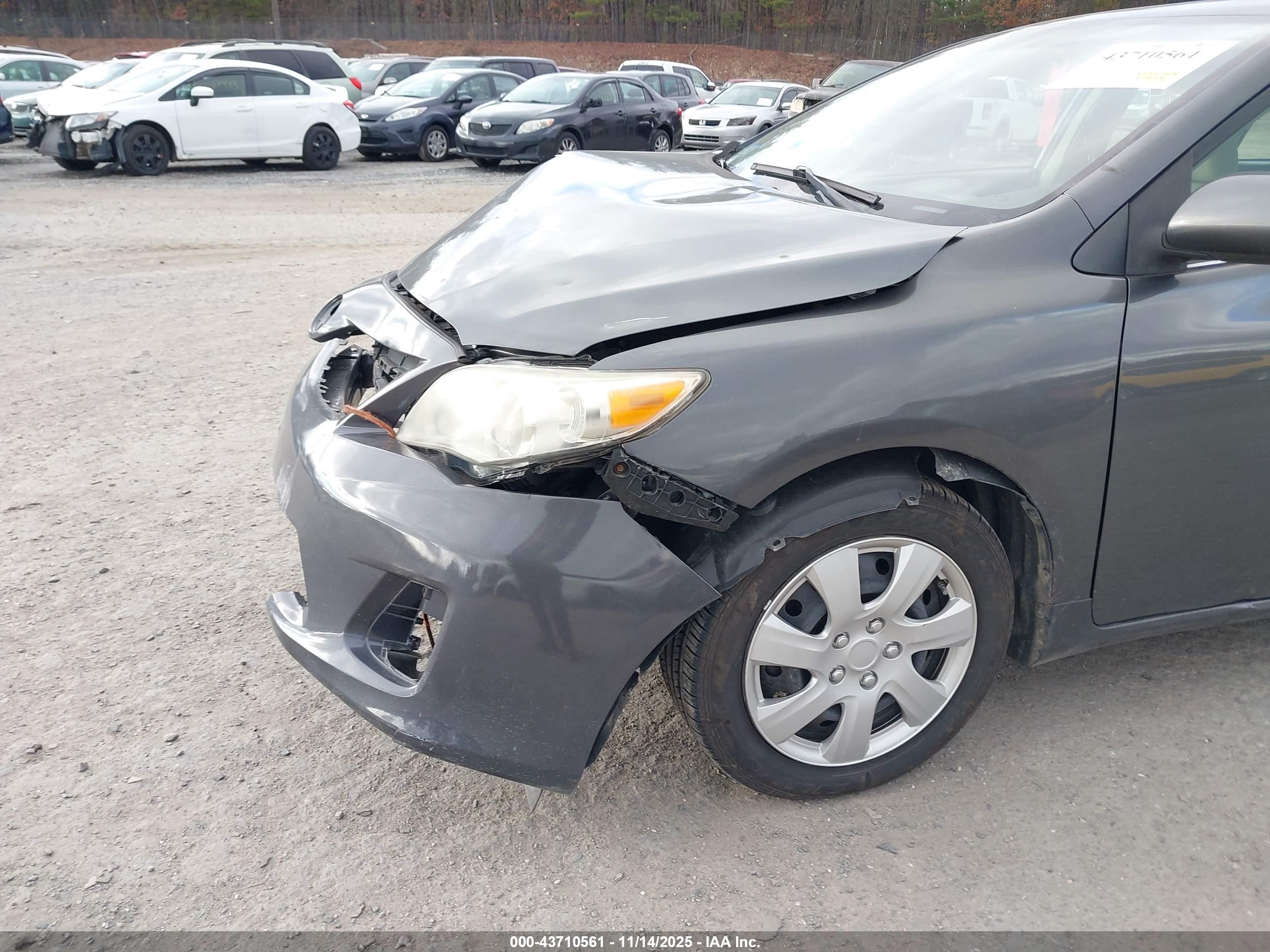 TOYOTA COROLLA image 6