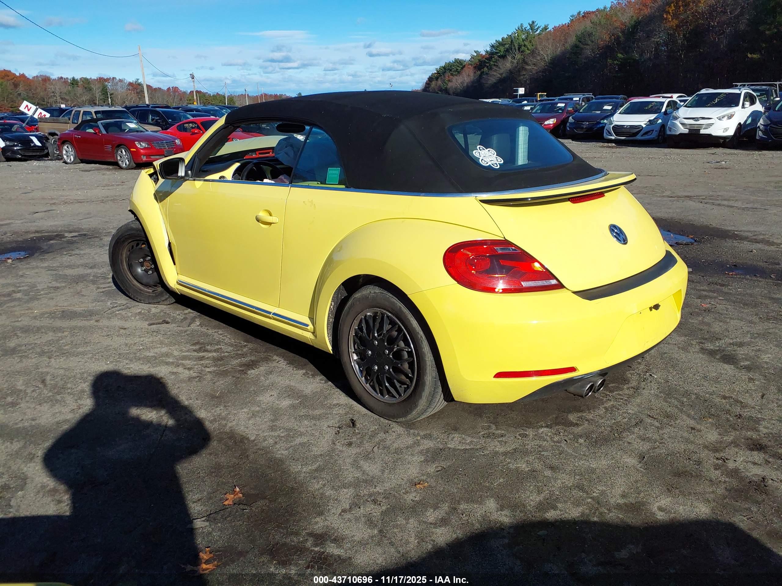 VOLKSWAGEN BEETLE image 3