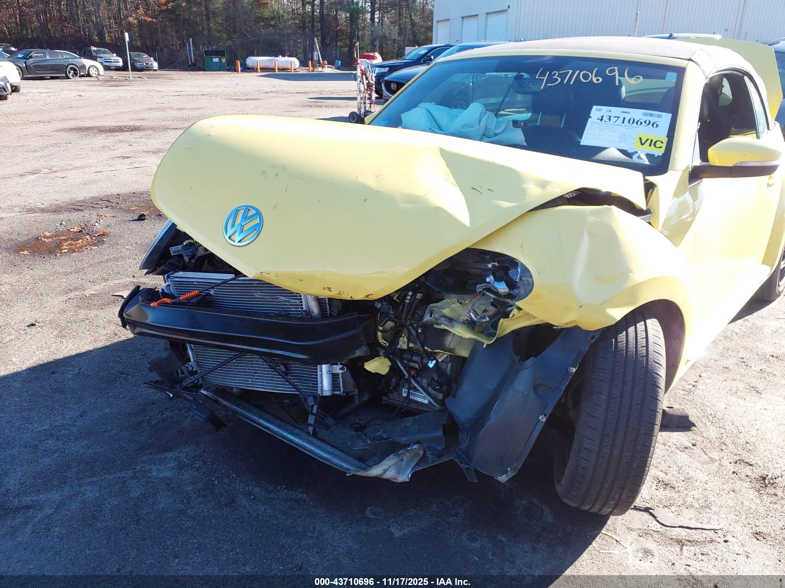 VOLKSWAGEN BEETLE image 6