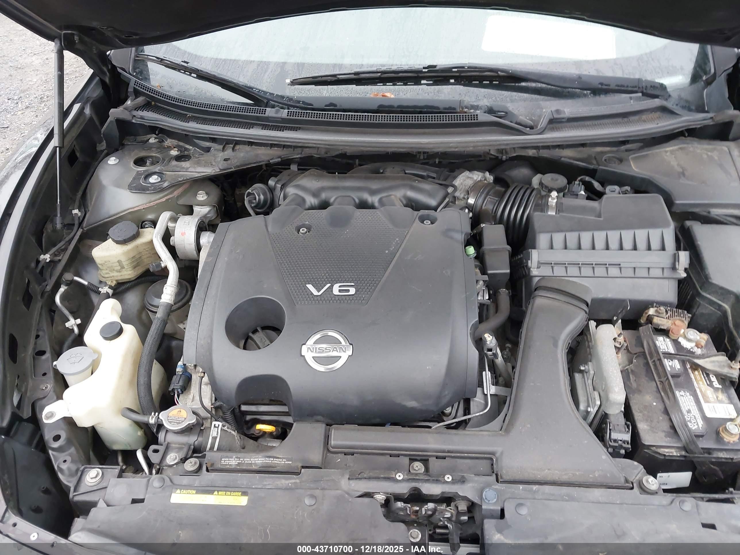 NISSAN MAXIMA image 10