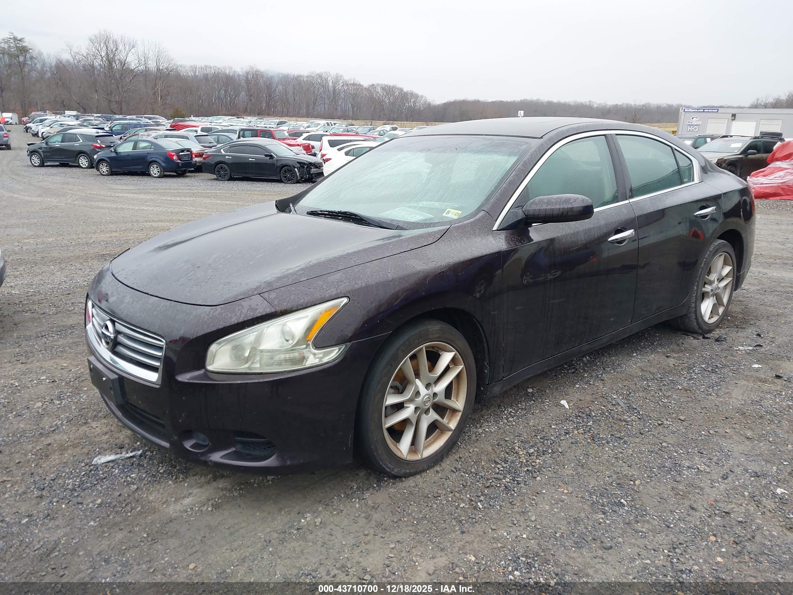 NISSAN MAXIMA image 2