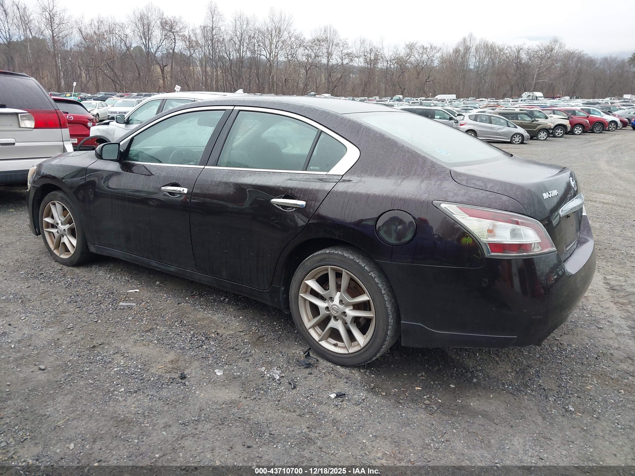 NISSAN MAXIMA image 3