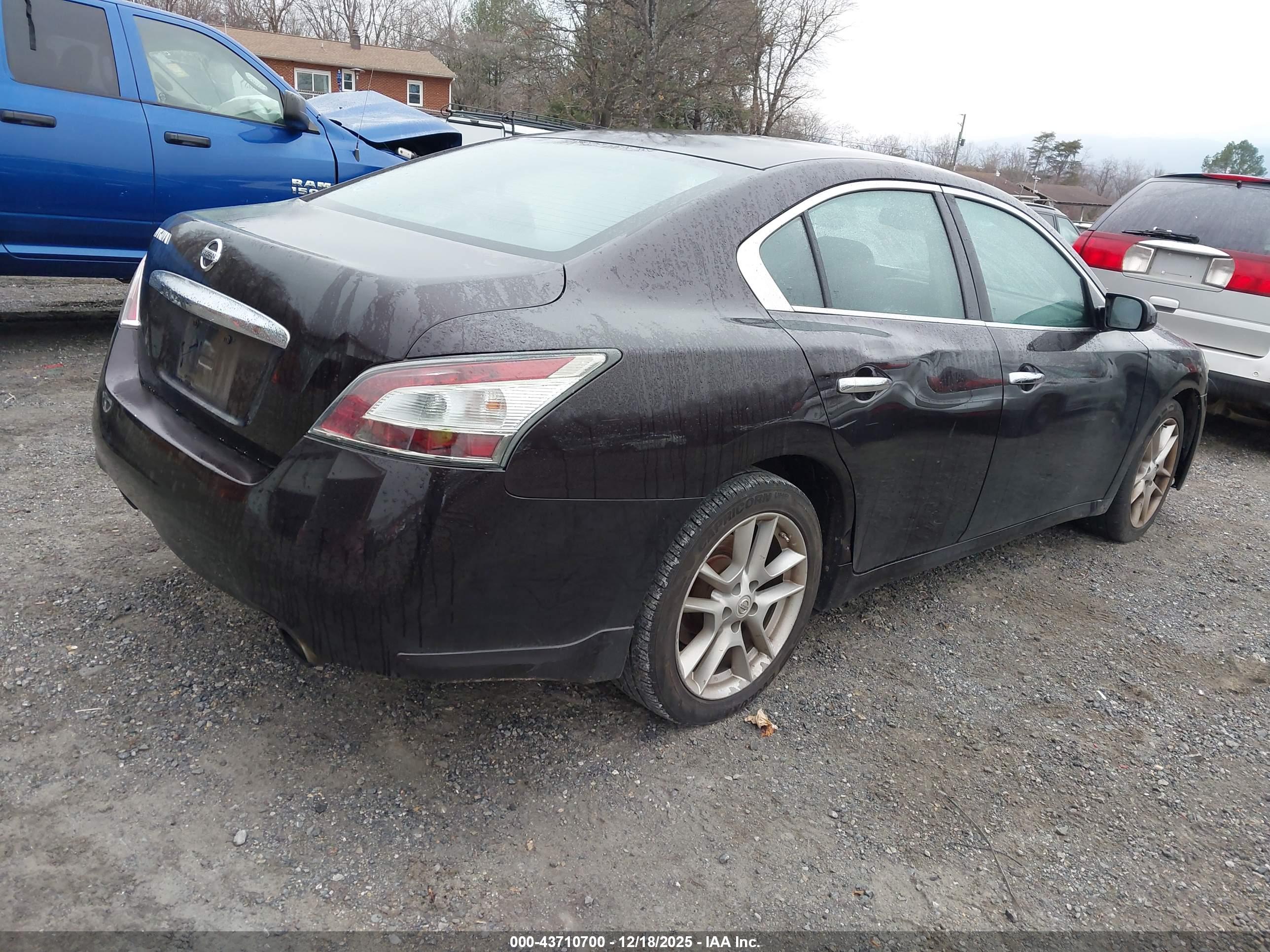 NISSAN MAXIMA image 4