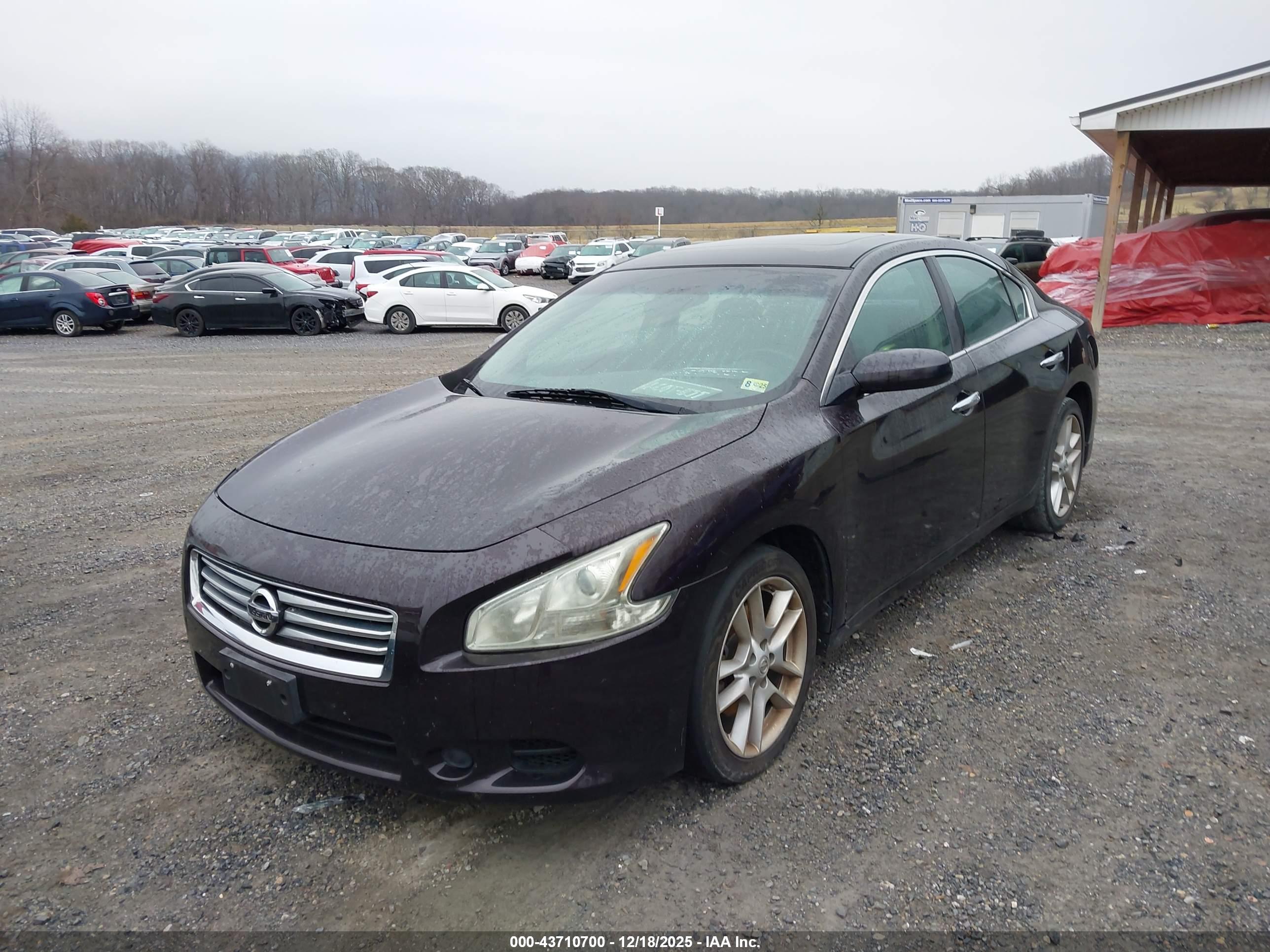 NISSAN MAXIMA image 6