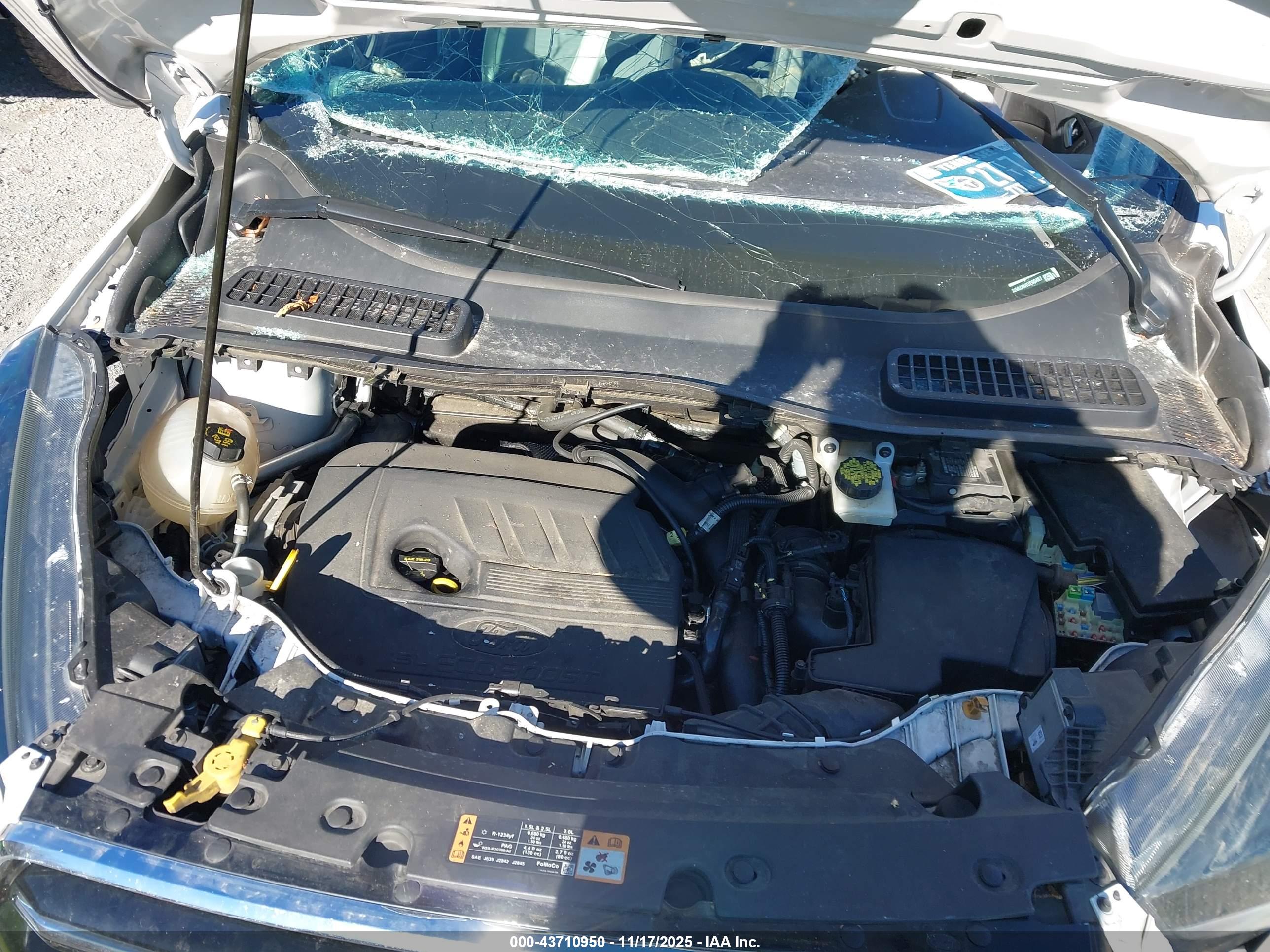 FORD ESCAPE image 10