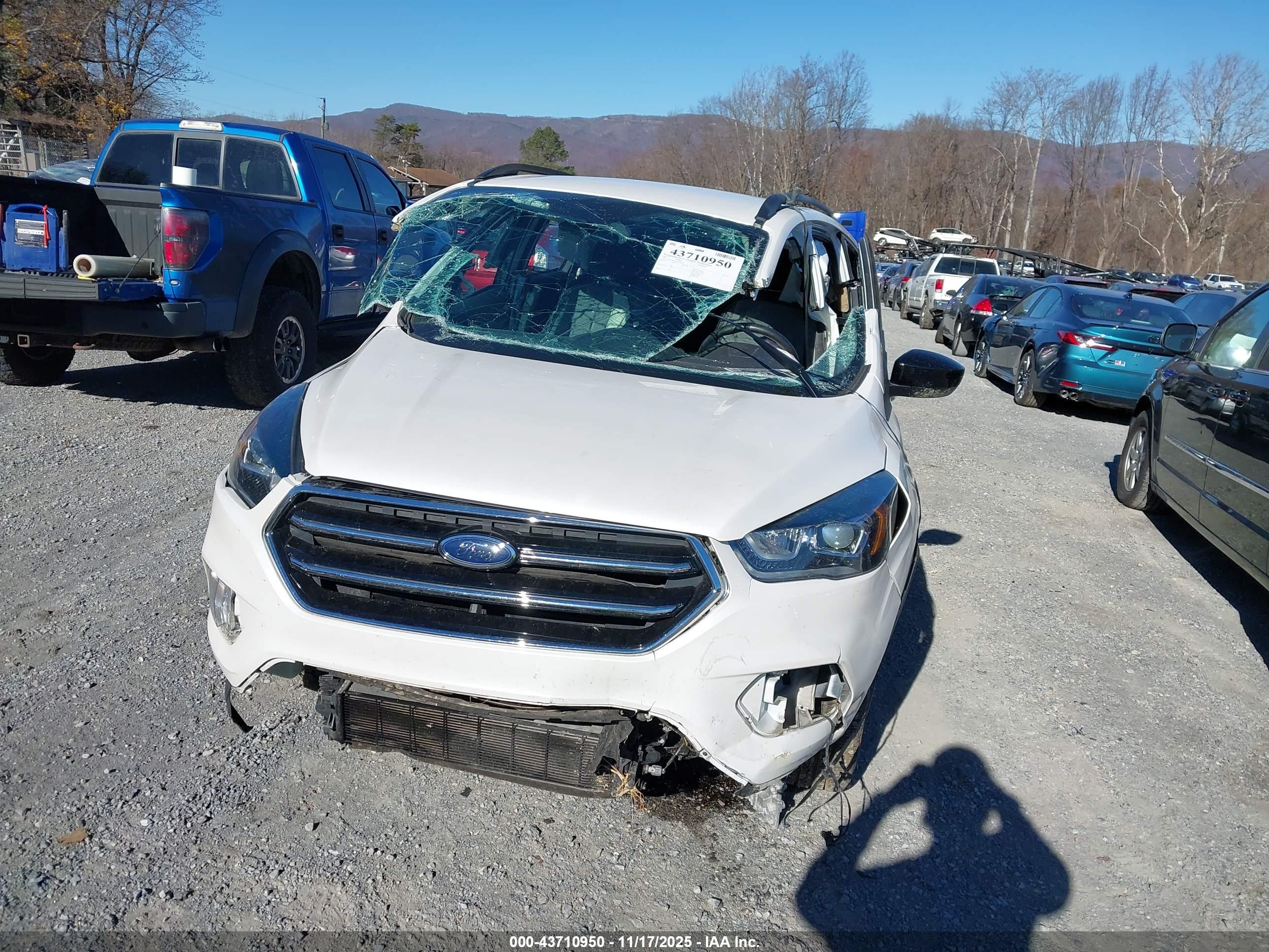 FORD ESCAPE image 6