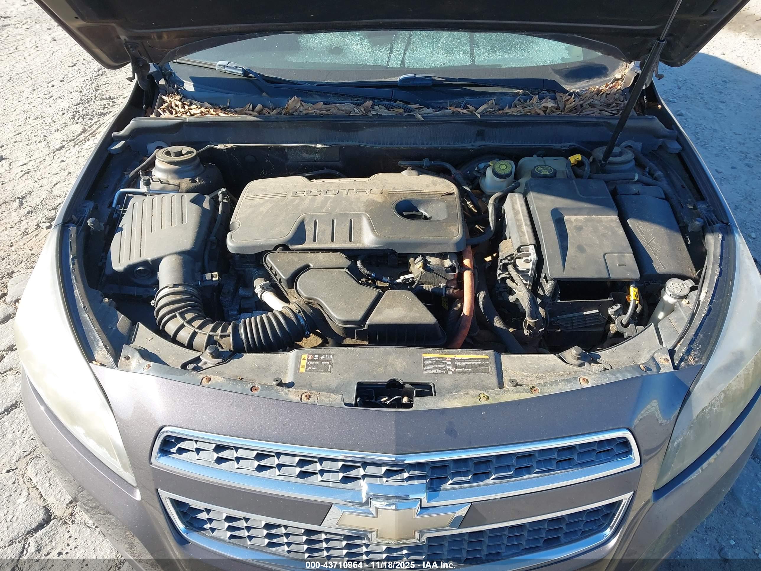 CHEVROLET MALIBU image 10