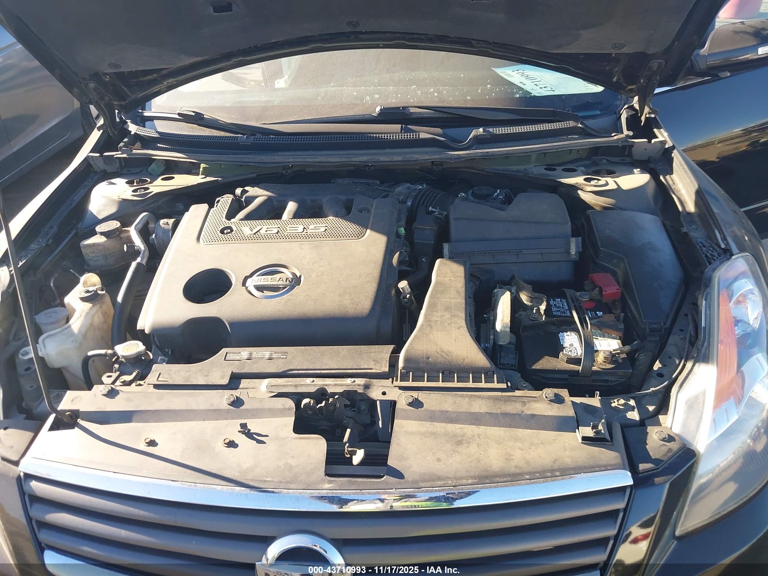 NISSAN ALTIMA image 10