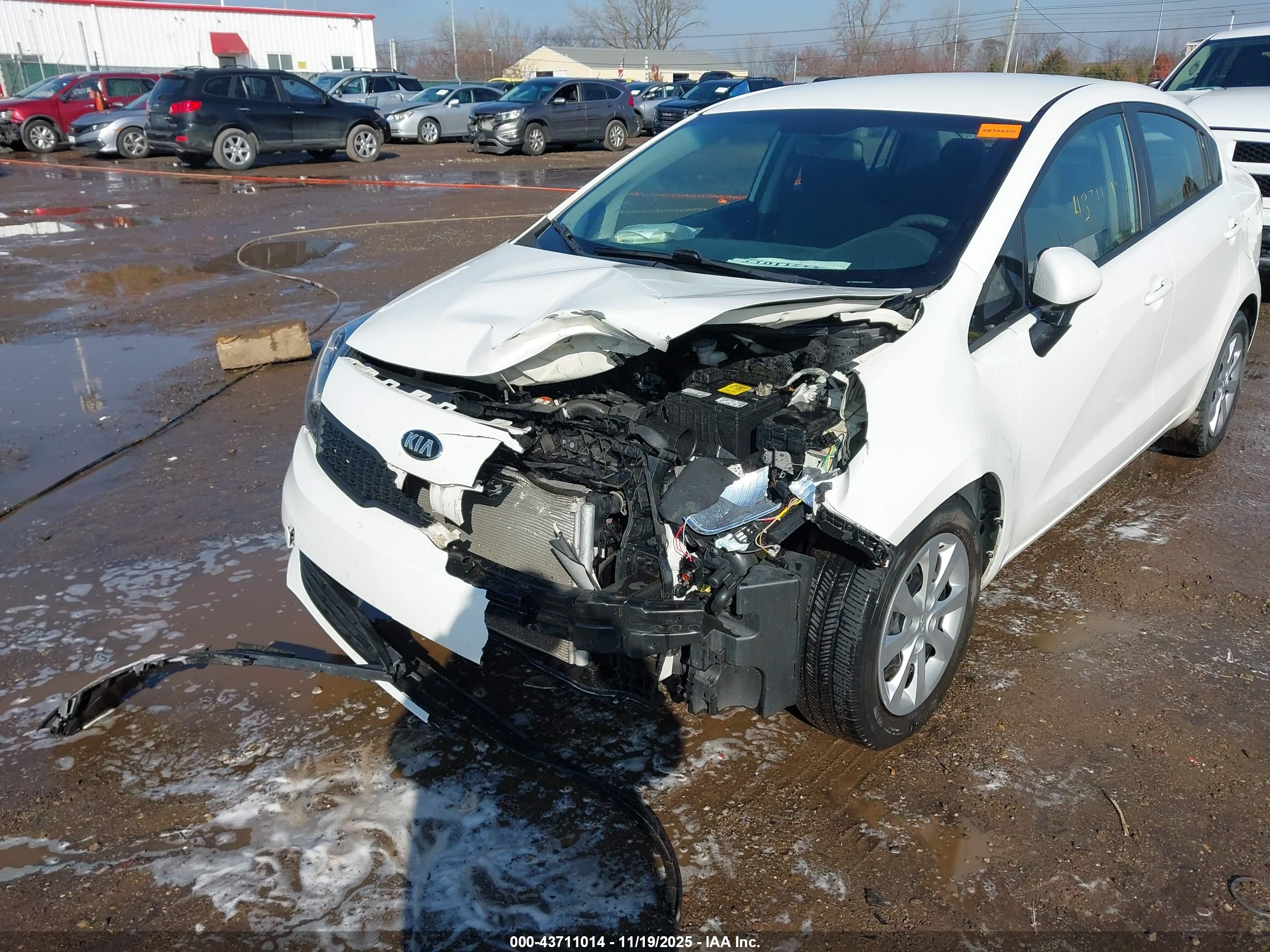 KIA RIO image 6