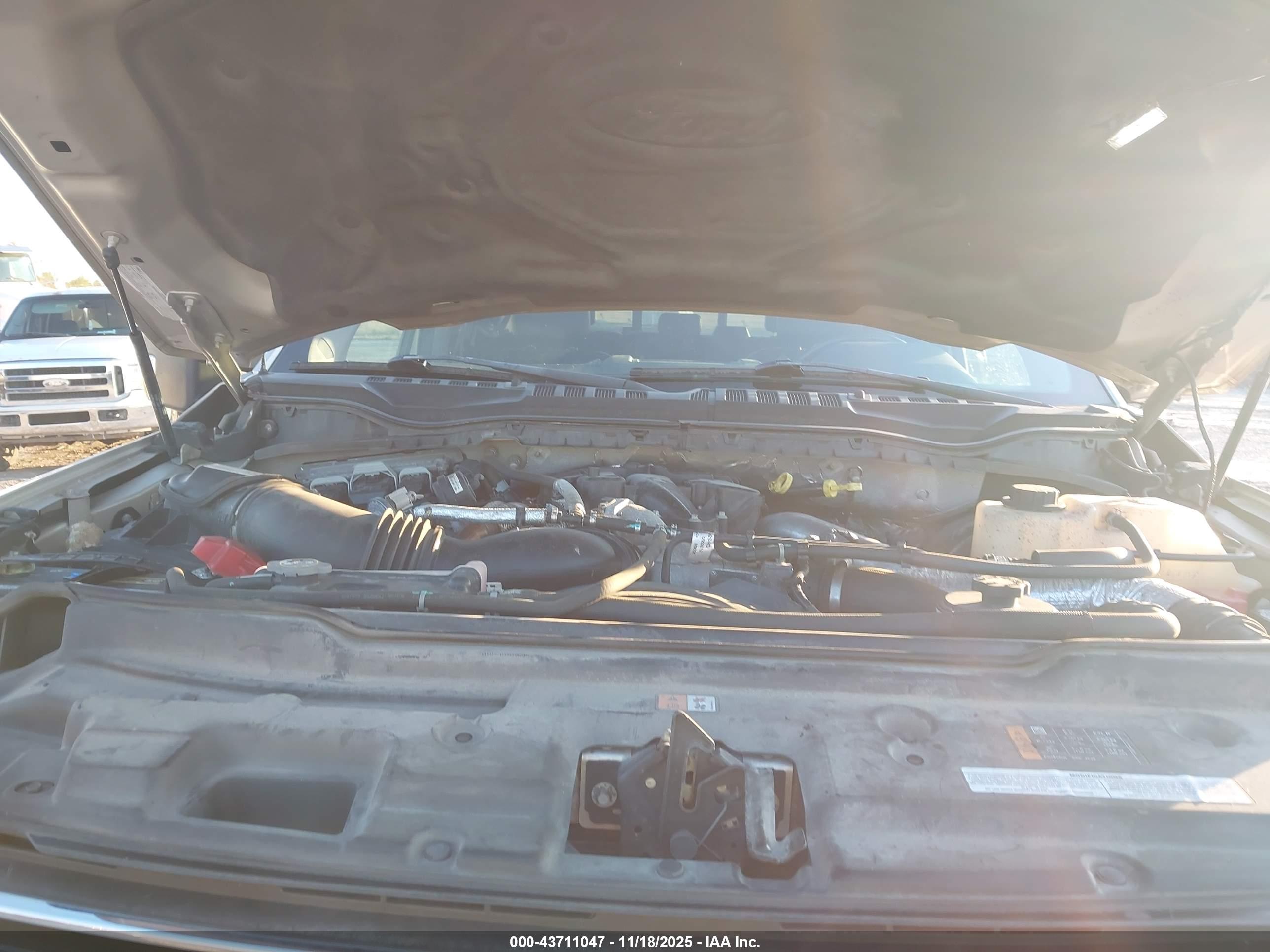 FORD F-250 image 10