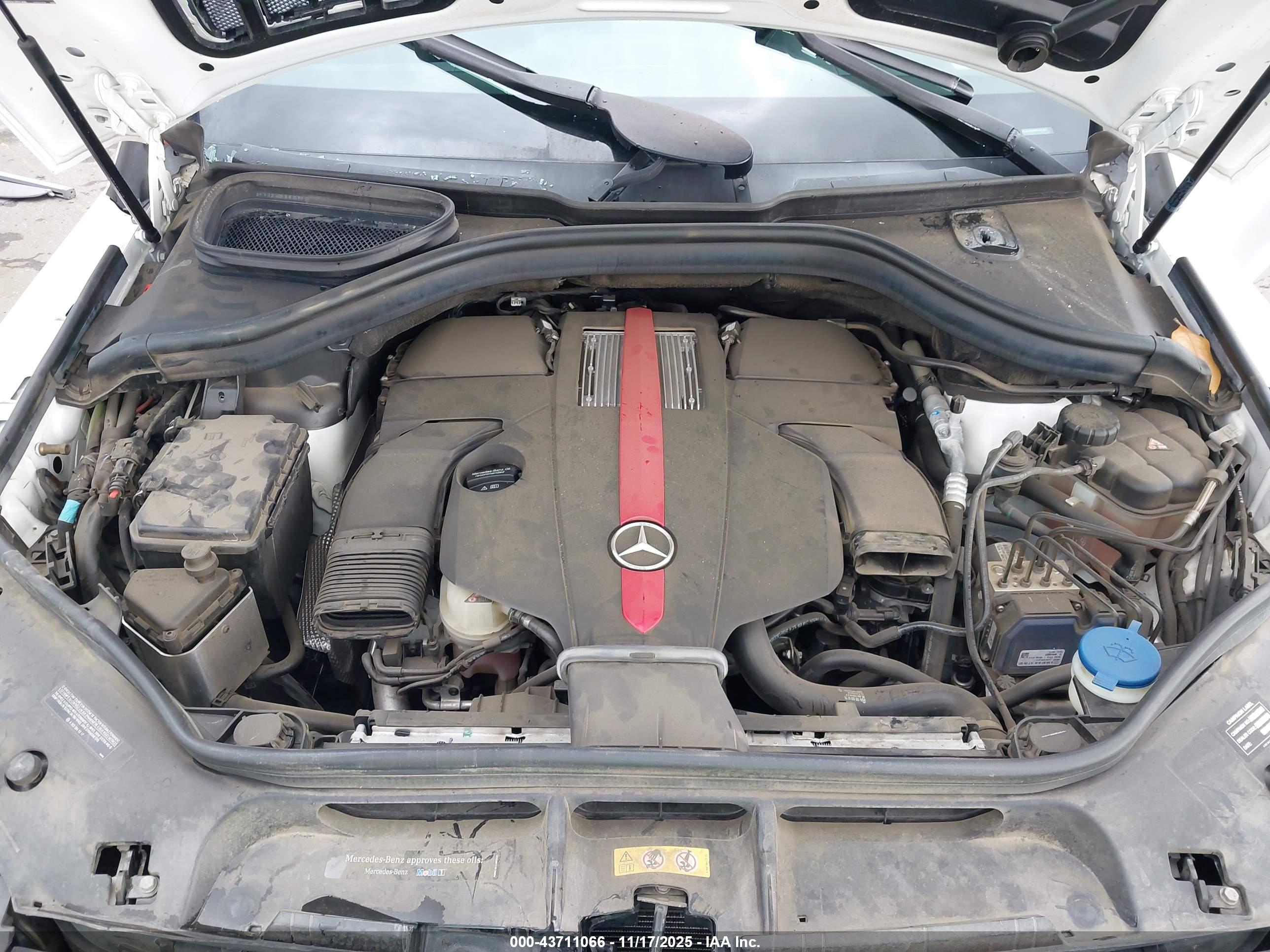 MERCEDES-BENZ AMG image 10