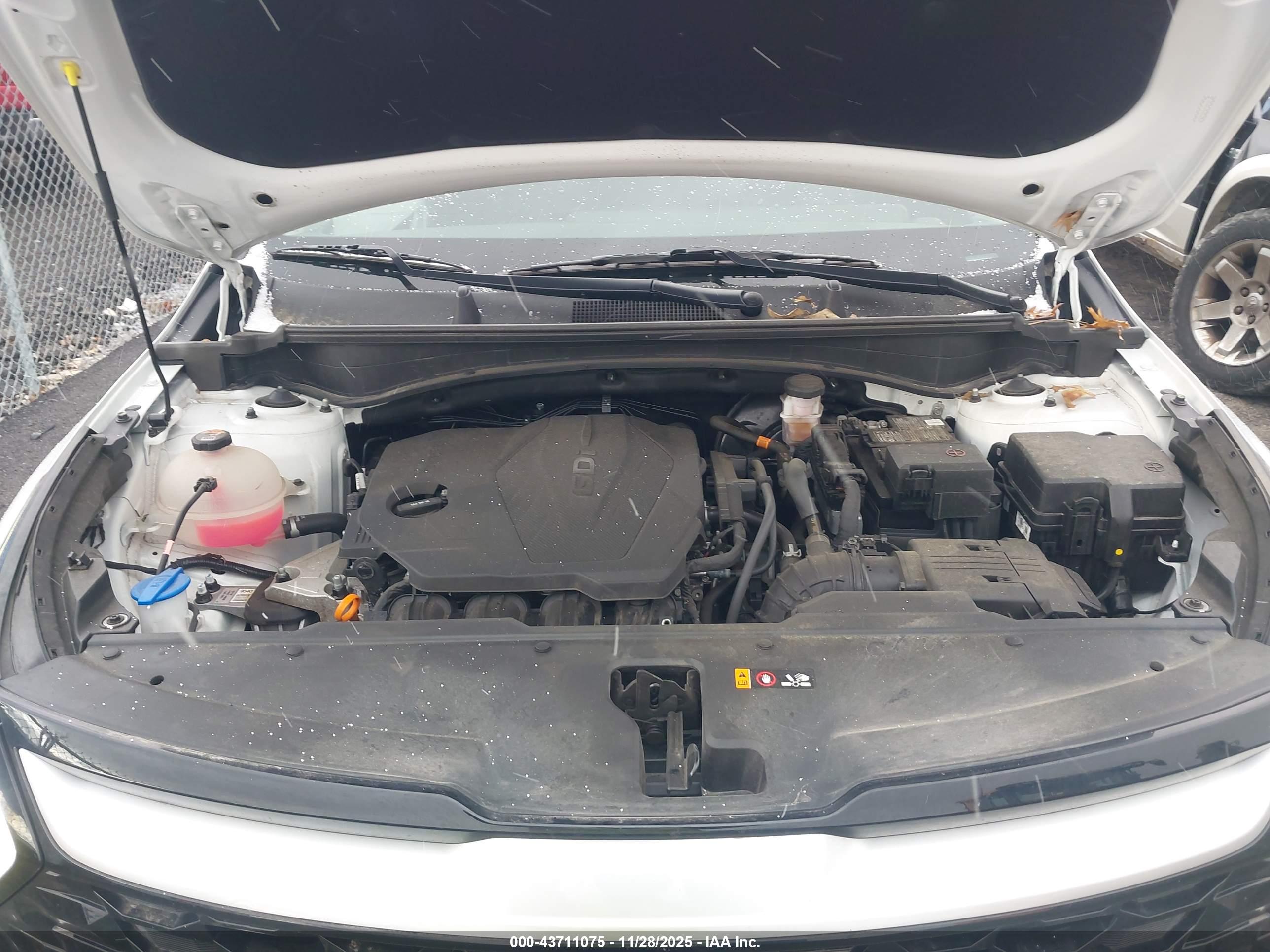 KIA SPORTAGE image 10