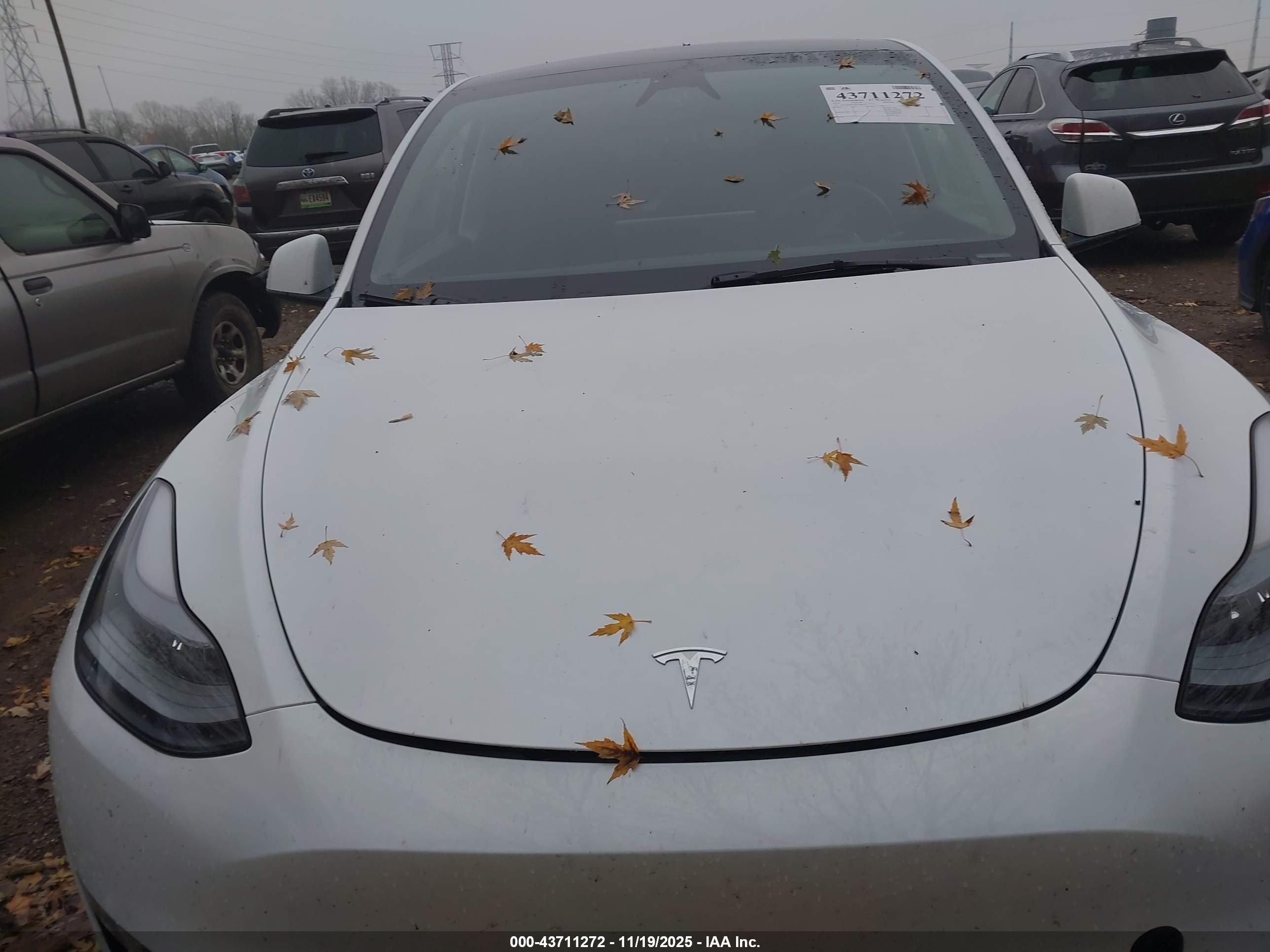 TESLA MODEL image 10