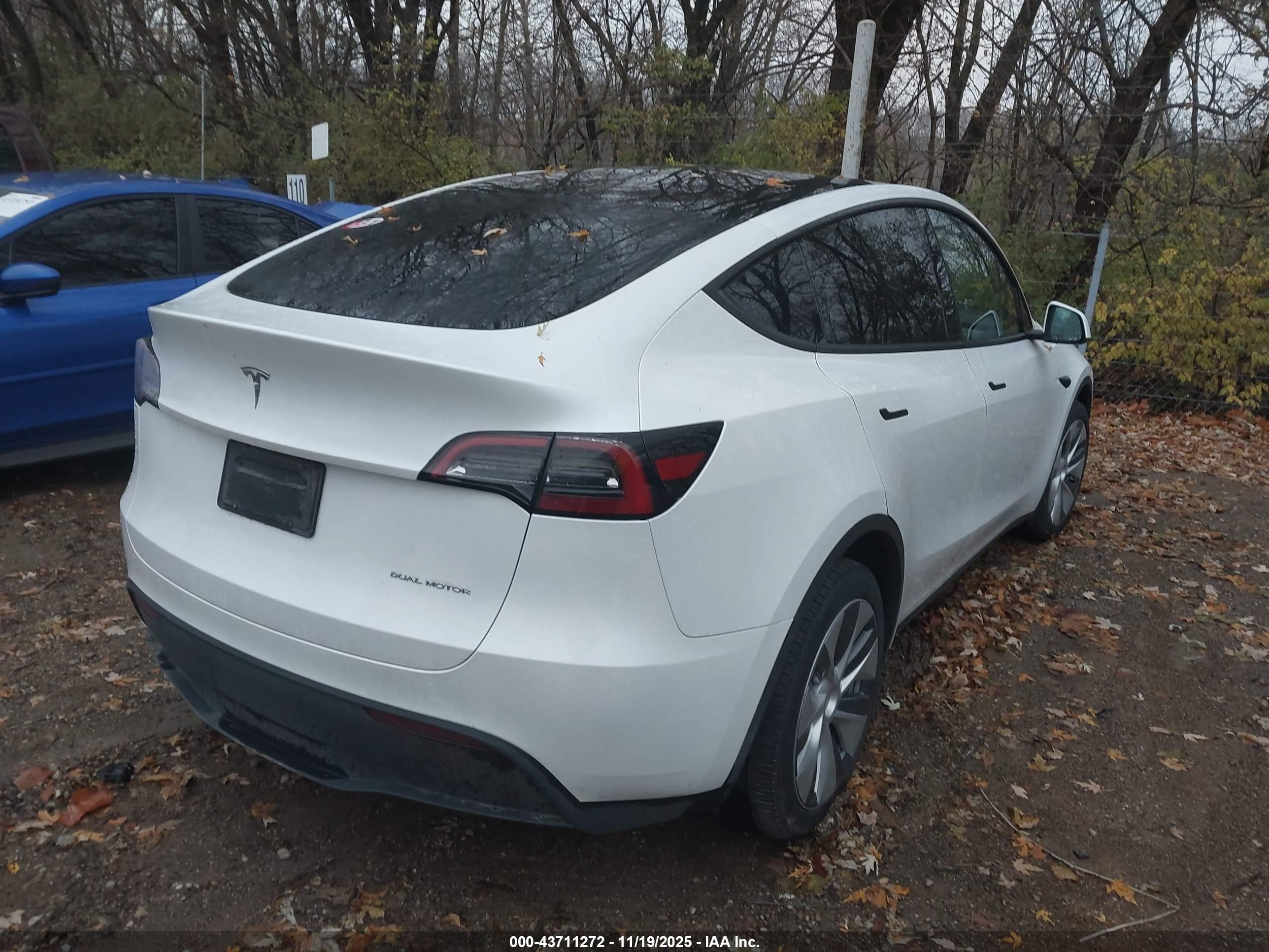 TESLA MODEL image 4