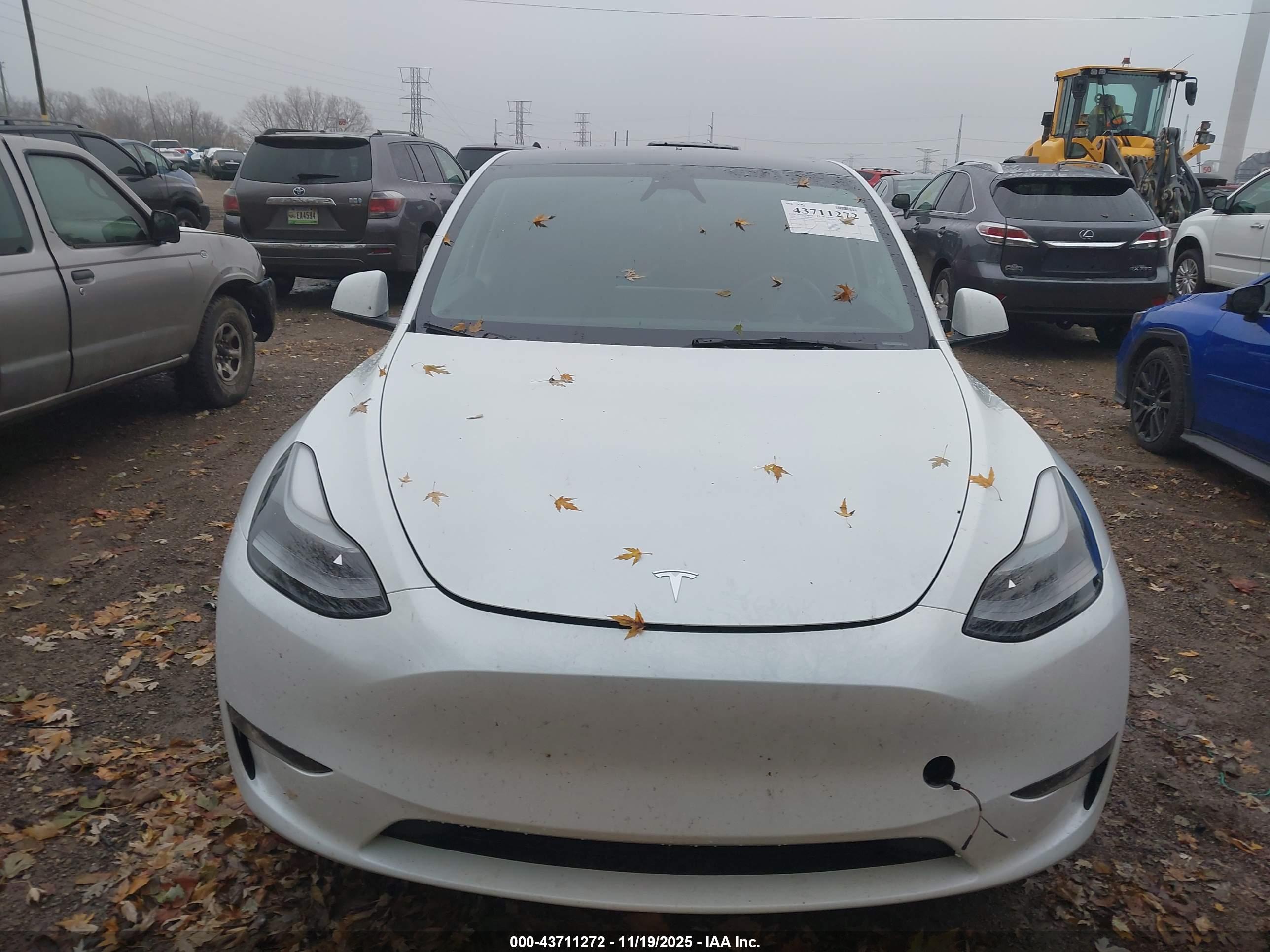 TESLA MODEL image 6