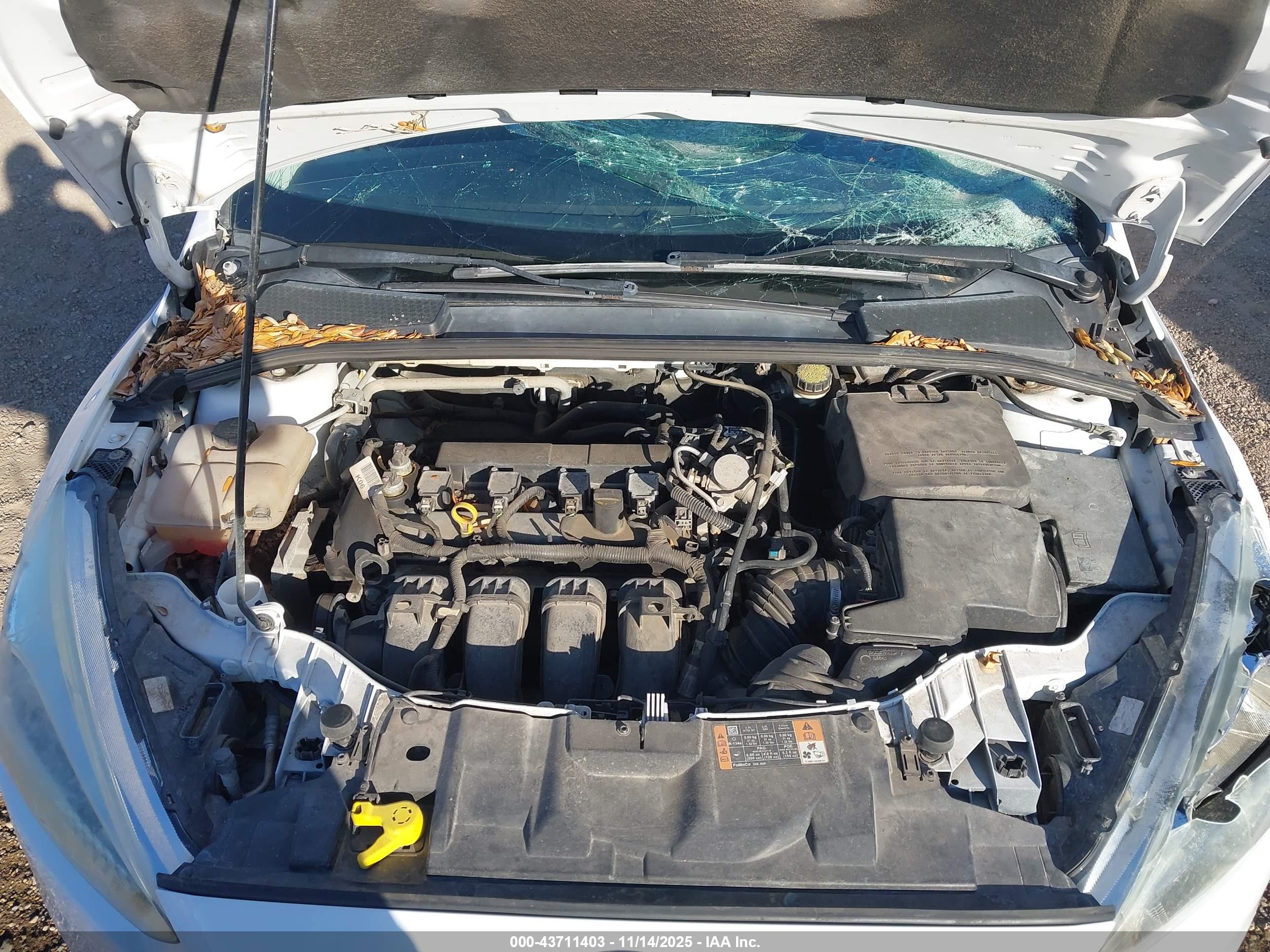 FORD FOCUS image 10