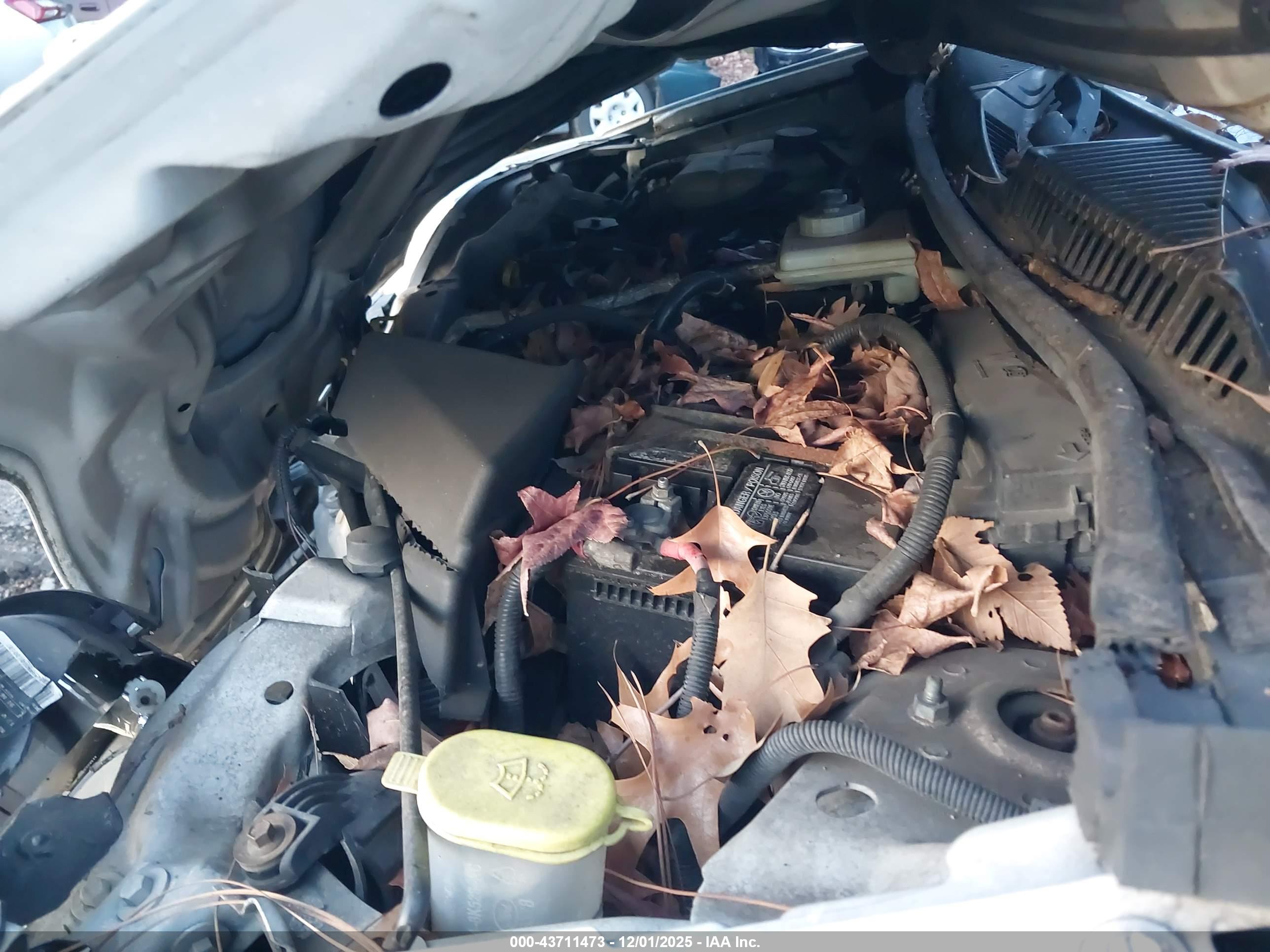 FORD TRANSIT image 10