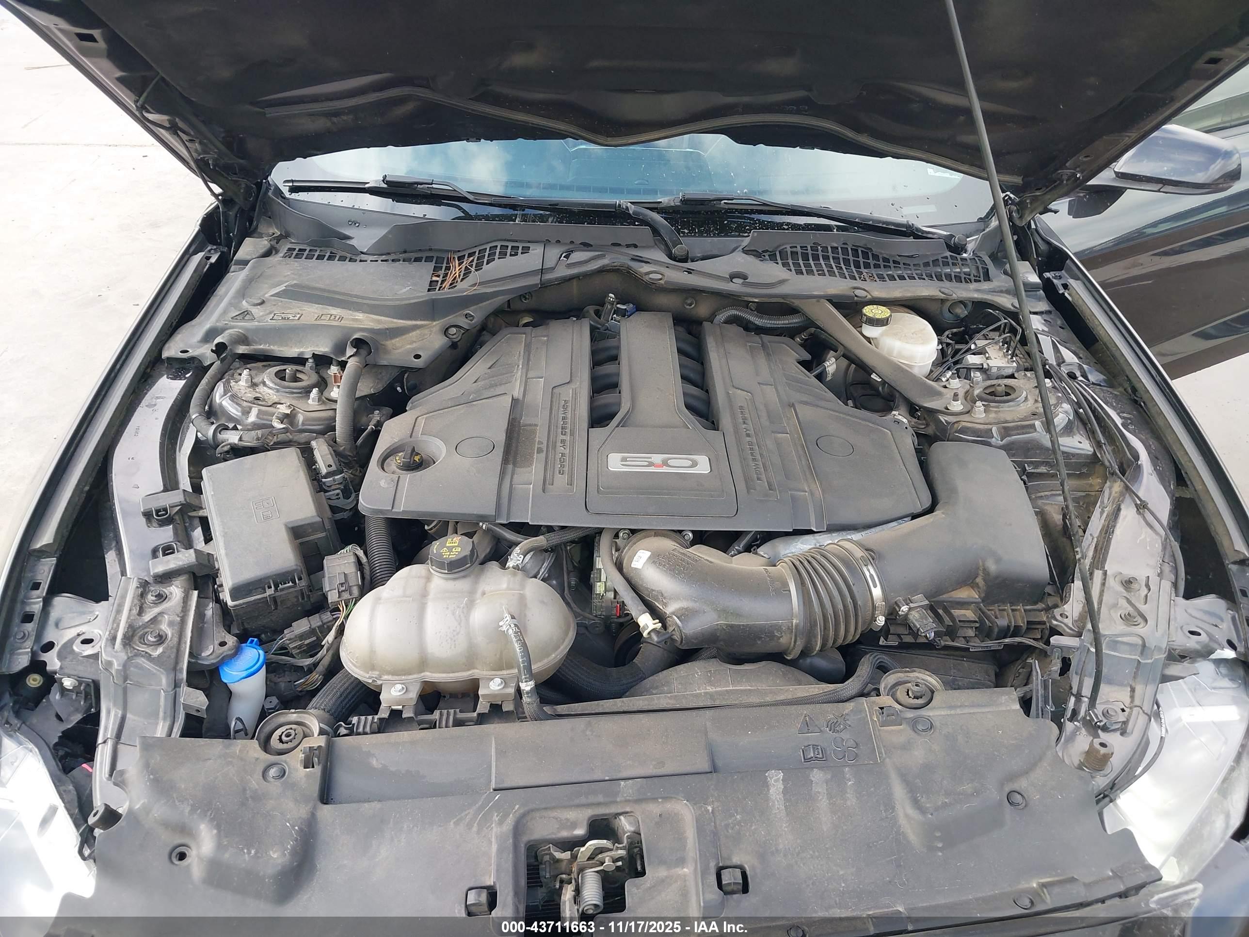 FORD MUSTANG image 10