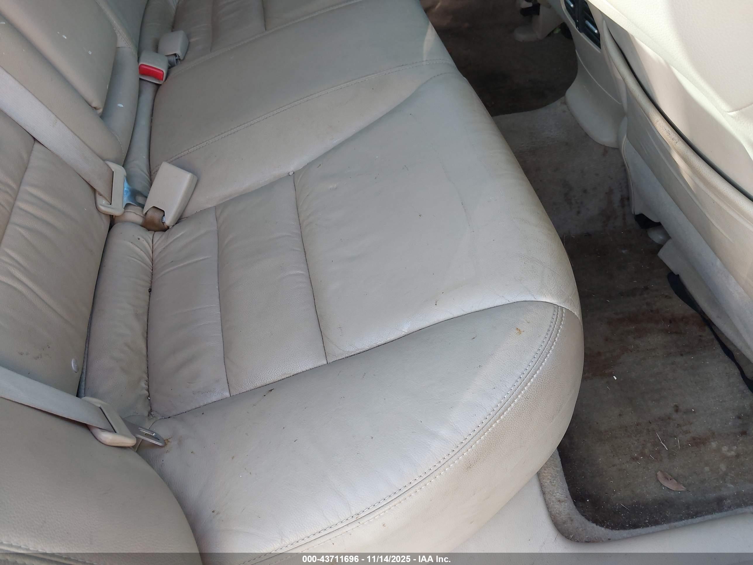 HONDA ACCORD image 8