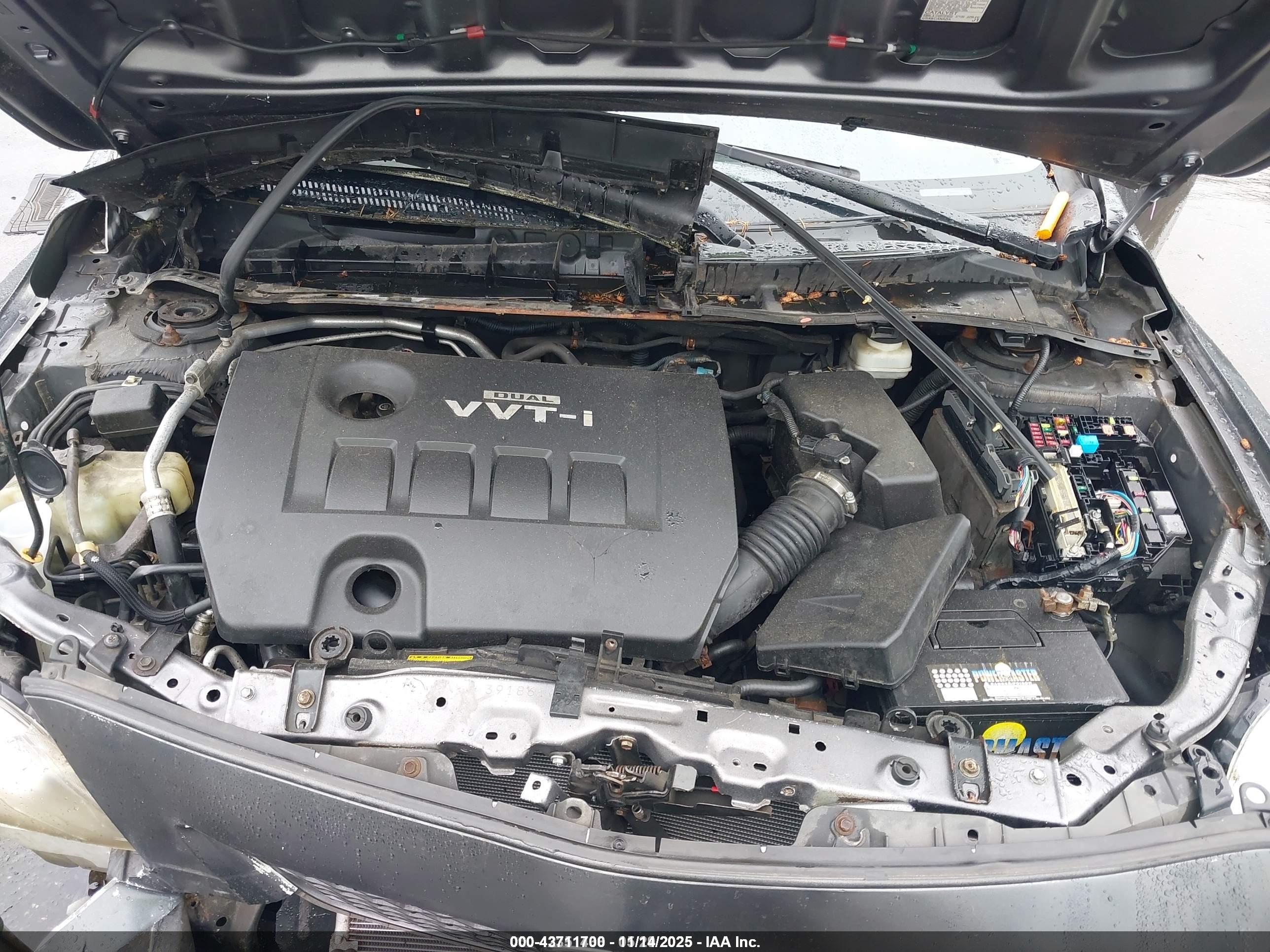 TOYOTA COROLLA image 10