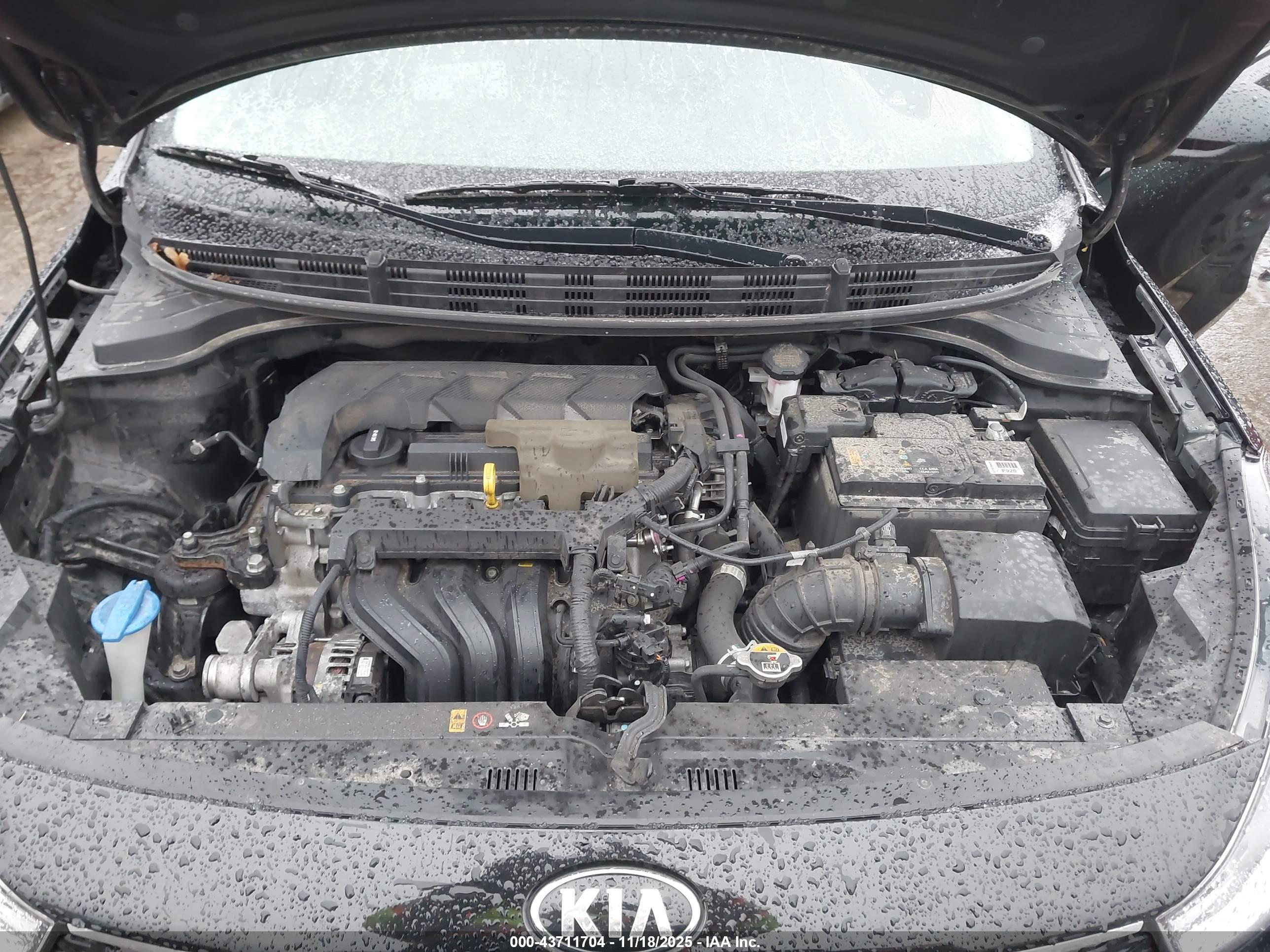 KIA RIO image 10