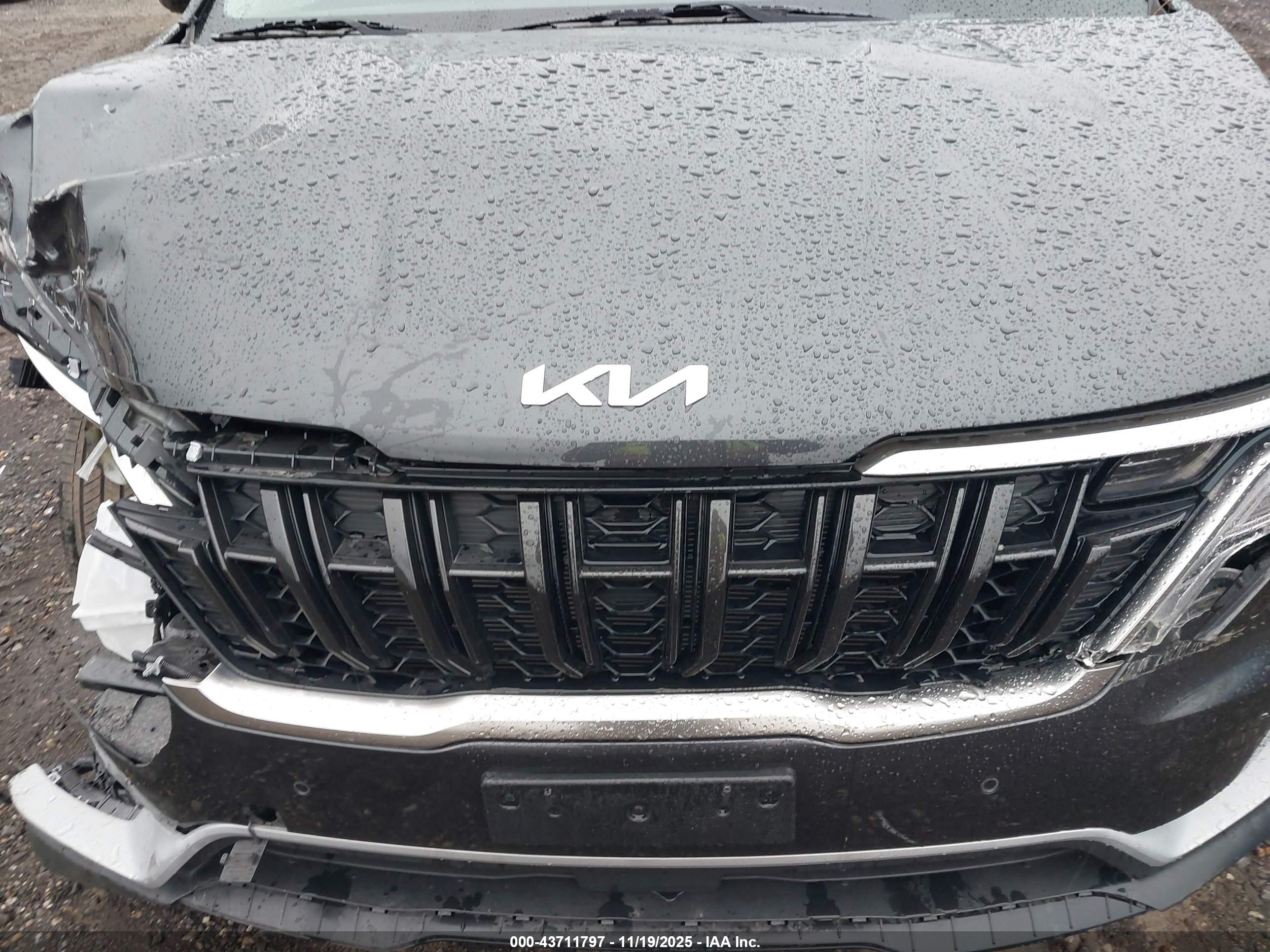 KIA CARNIVAL image 10