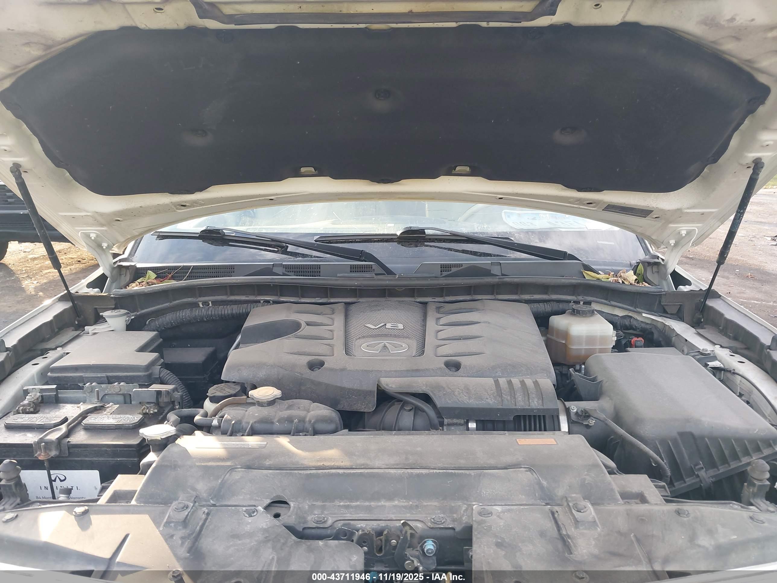 INFINITI QX80 image 10