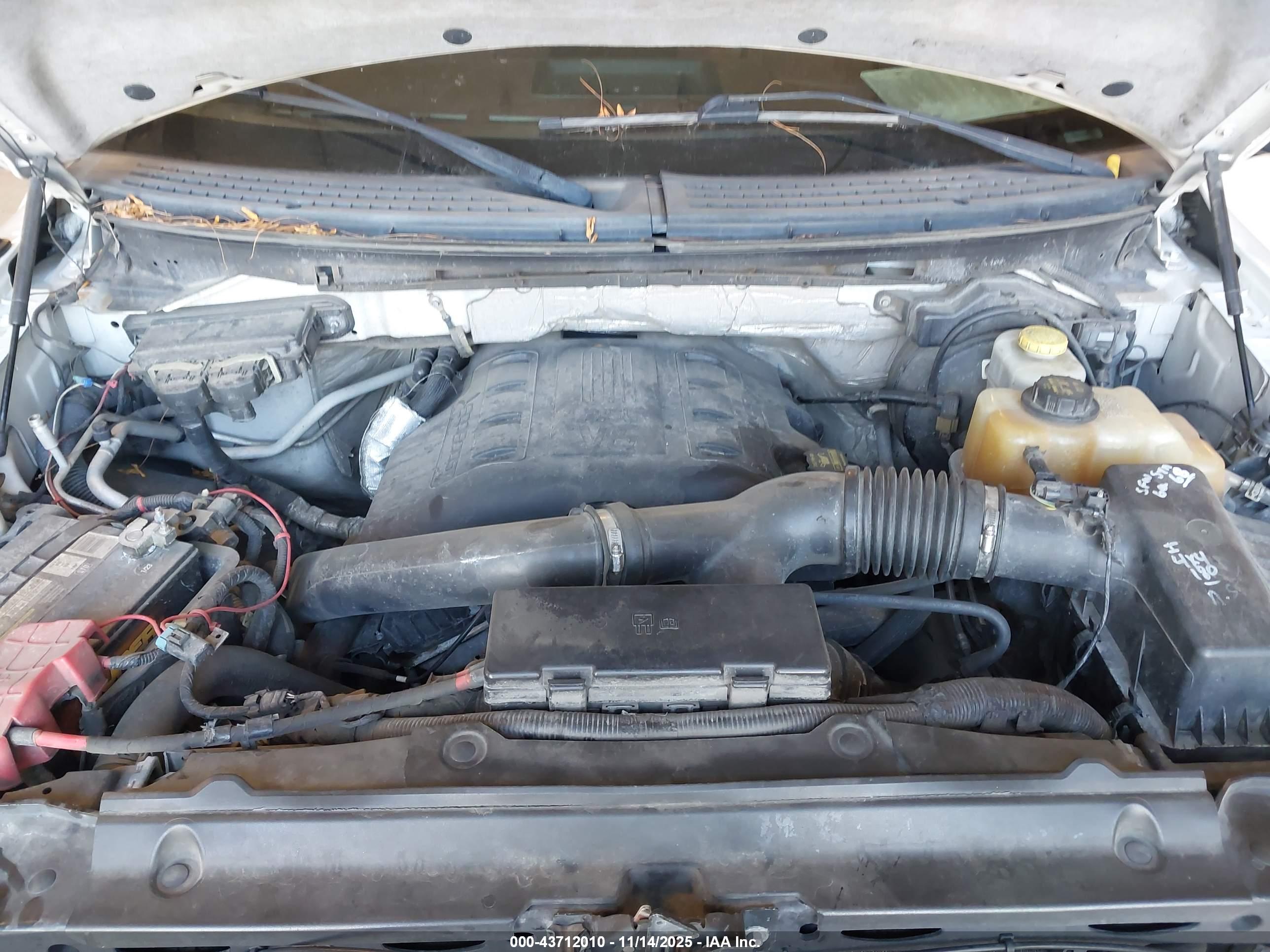 FORD F-150 image 10